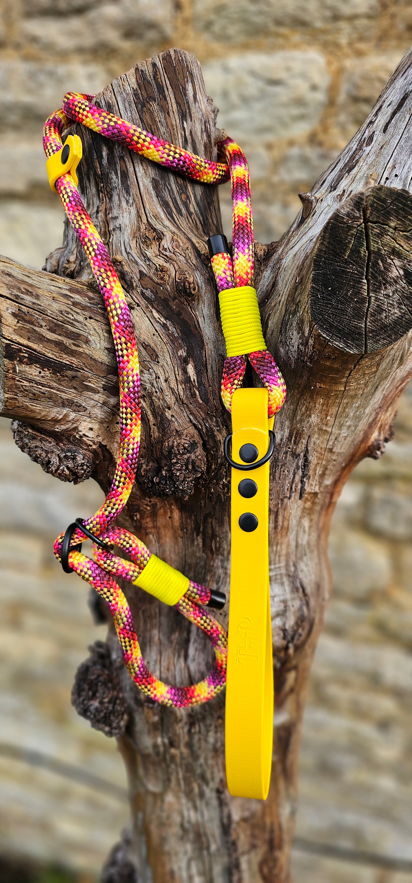 Cocktail - Classic Rope Slip Lead / Figure 8 Dog Lead