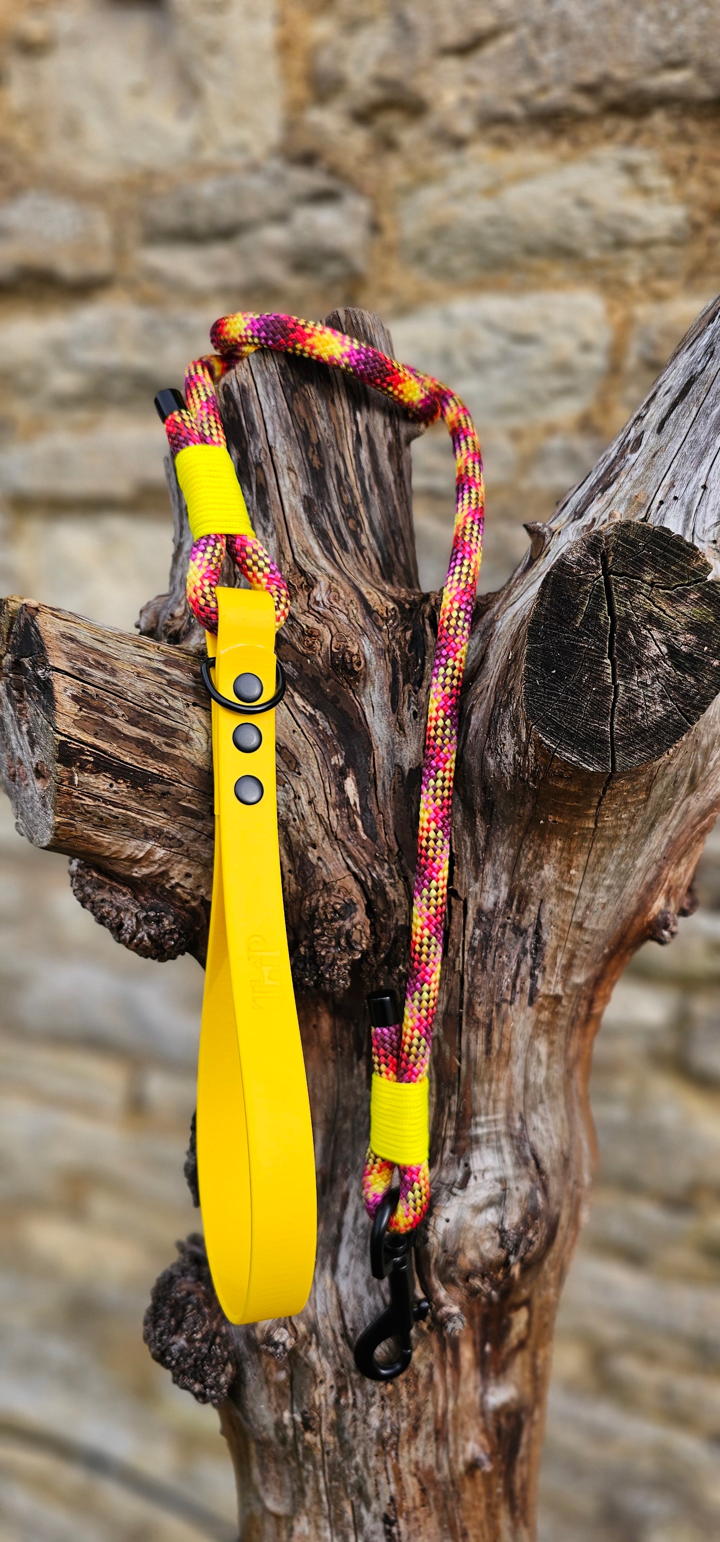 Cocktail - Classic Rope Dog Lead