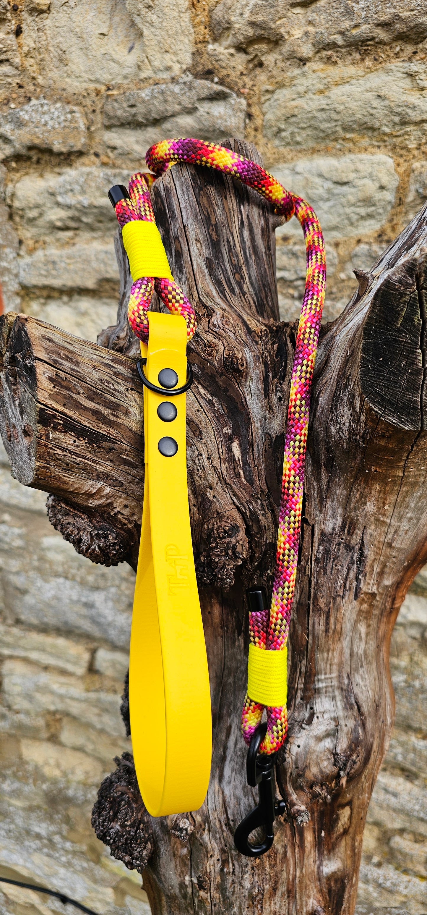 Cocktail - Classic Rope Dog Lead