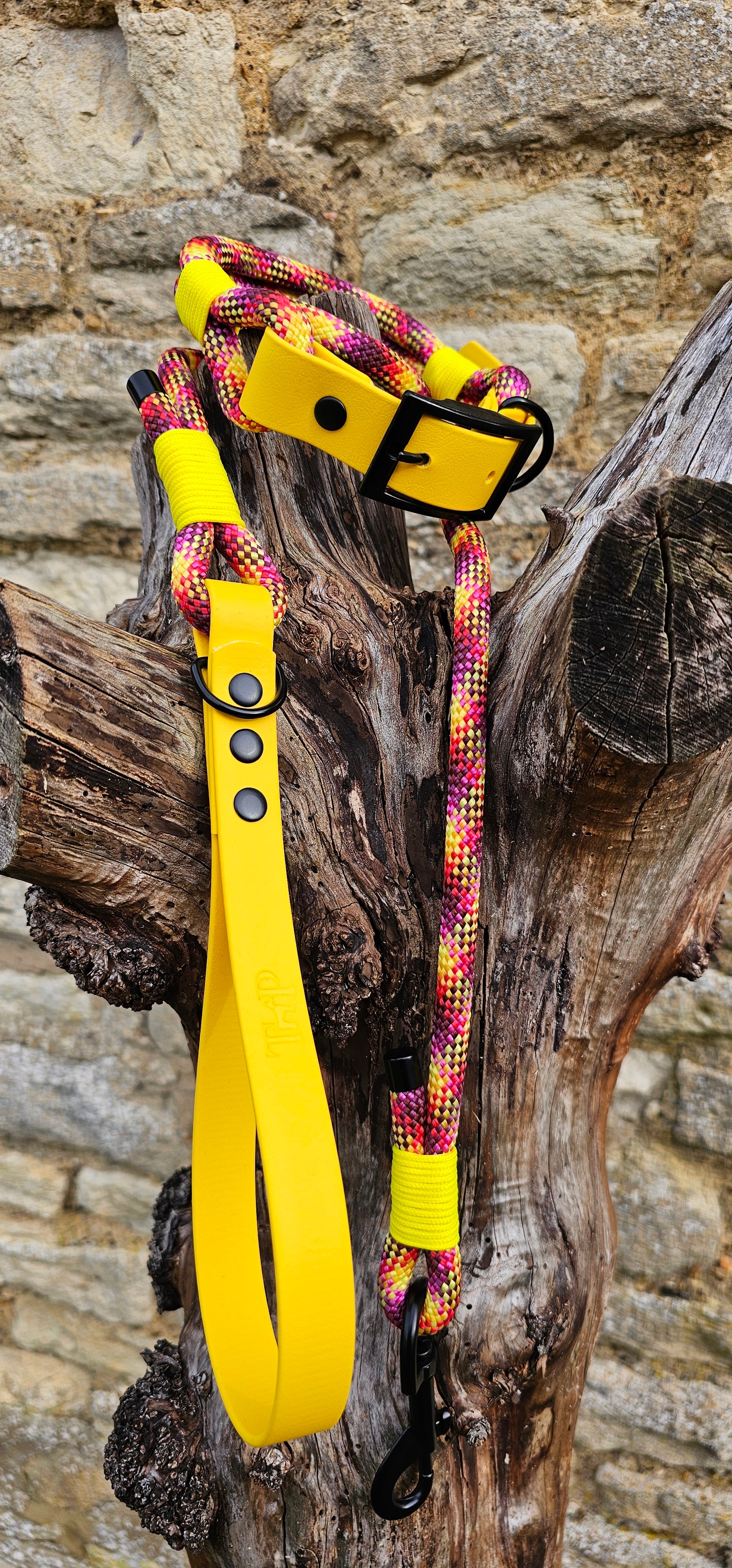 Cocktail - Classic Rope Dog Lead