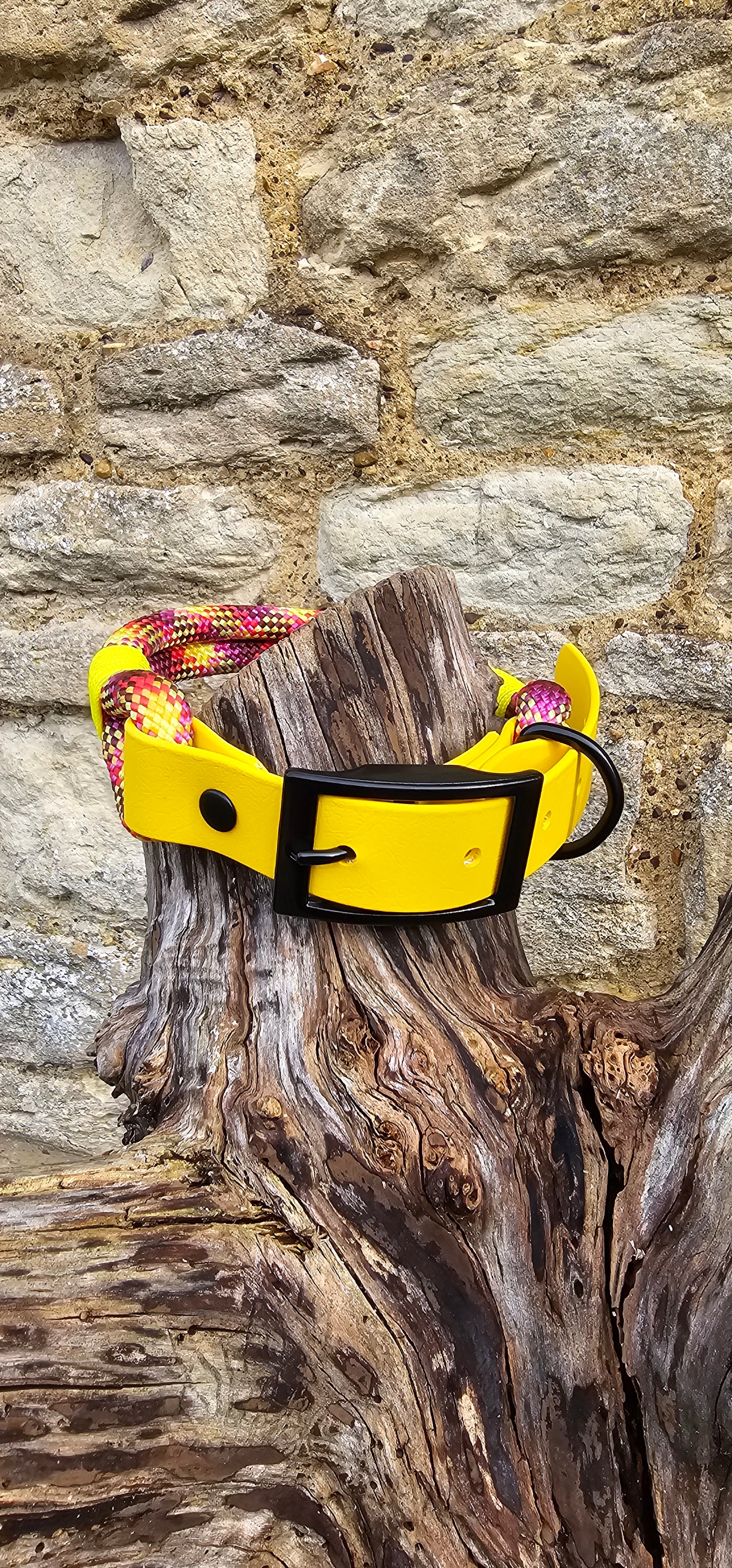 Cocktail - Classic Rope Dog Collar