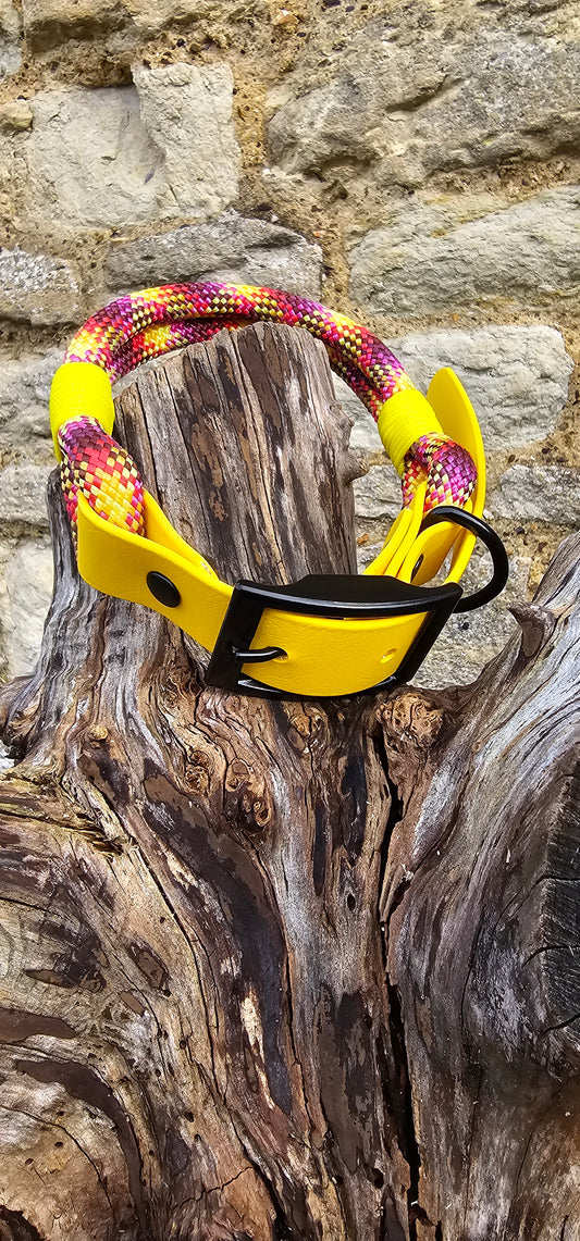 Cocktail & Yellow - Classic Rope Dog Collar