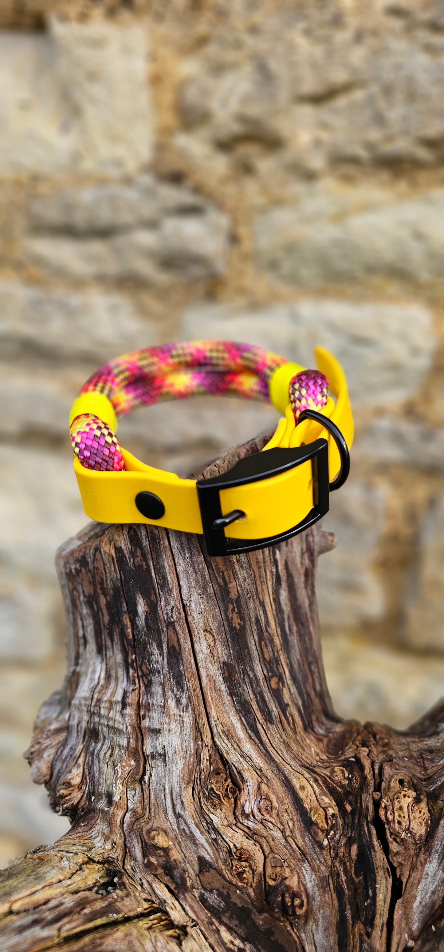 Cocktail - Classic Rope Dog Collar