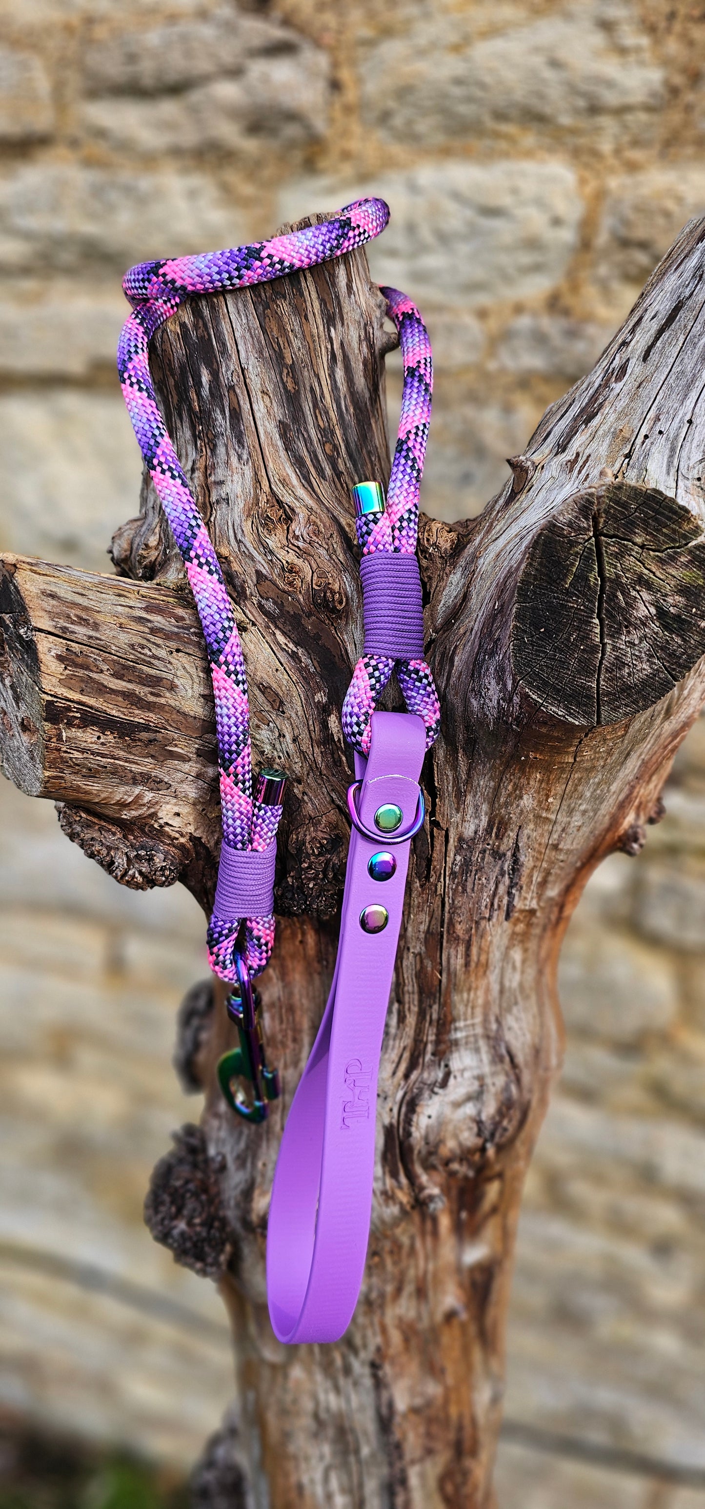 Cupcake - Classic Rope Dog Lead