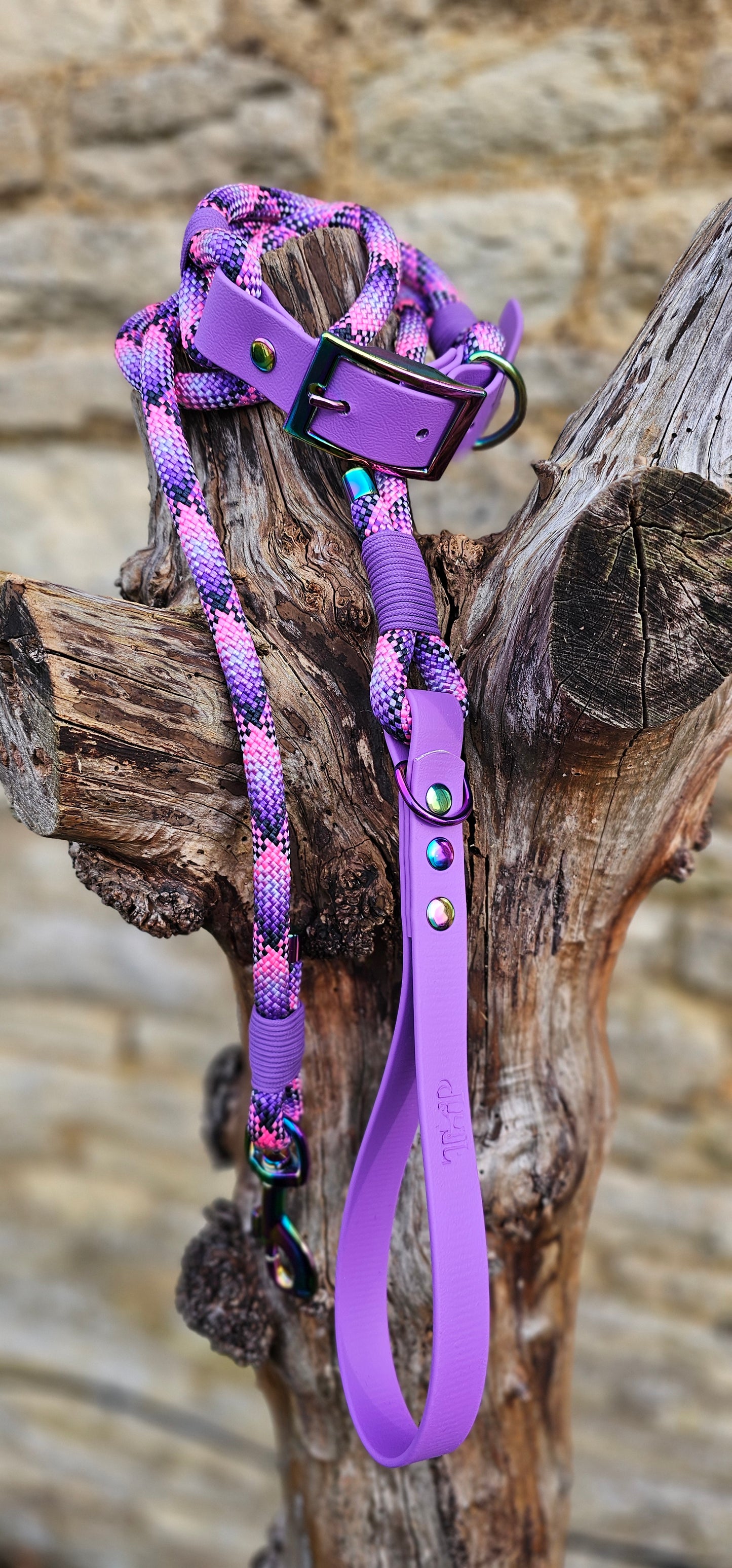 Cupcake - Classic Rope Dog Collar