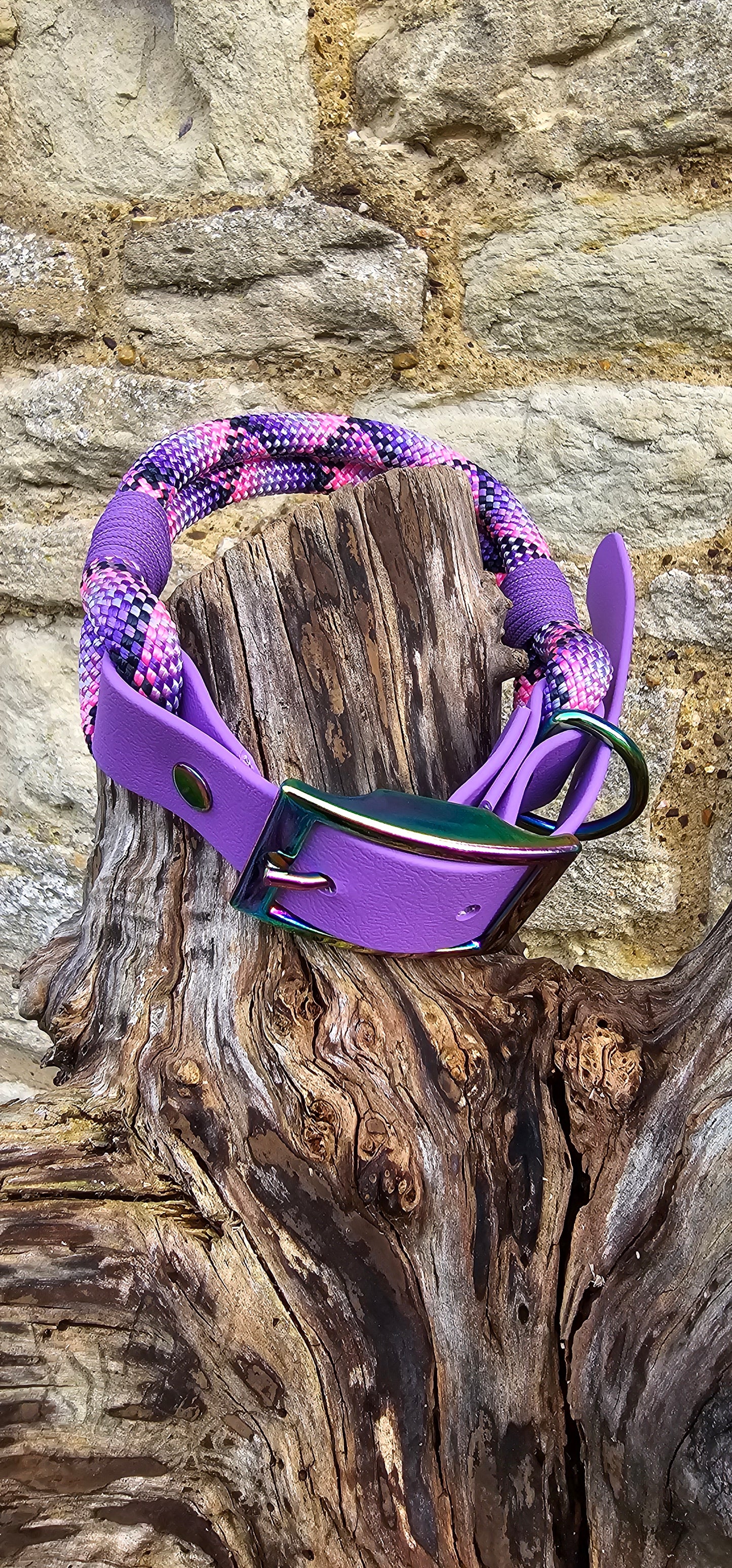 Cupcake - Classic Rope Dog Collar
