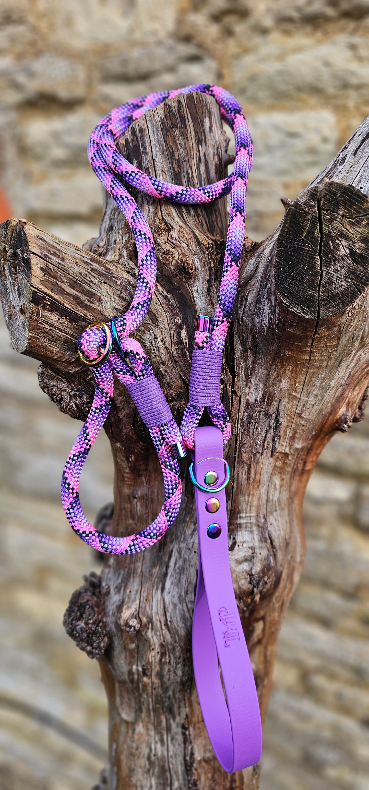 Cupcake - Classic Rope Slip Lead / Figure 8 Dog Lead