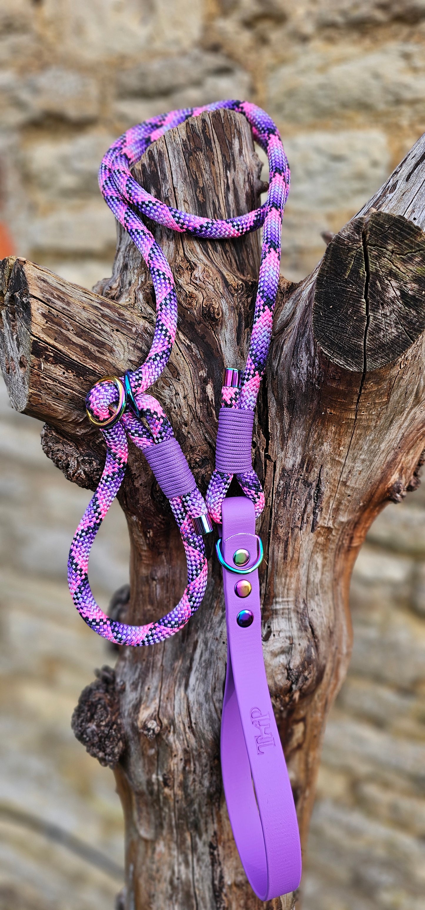 Cupcake - Classic Rope Slip Lead / Figure 8 Dog Lead