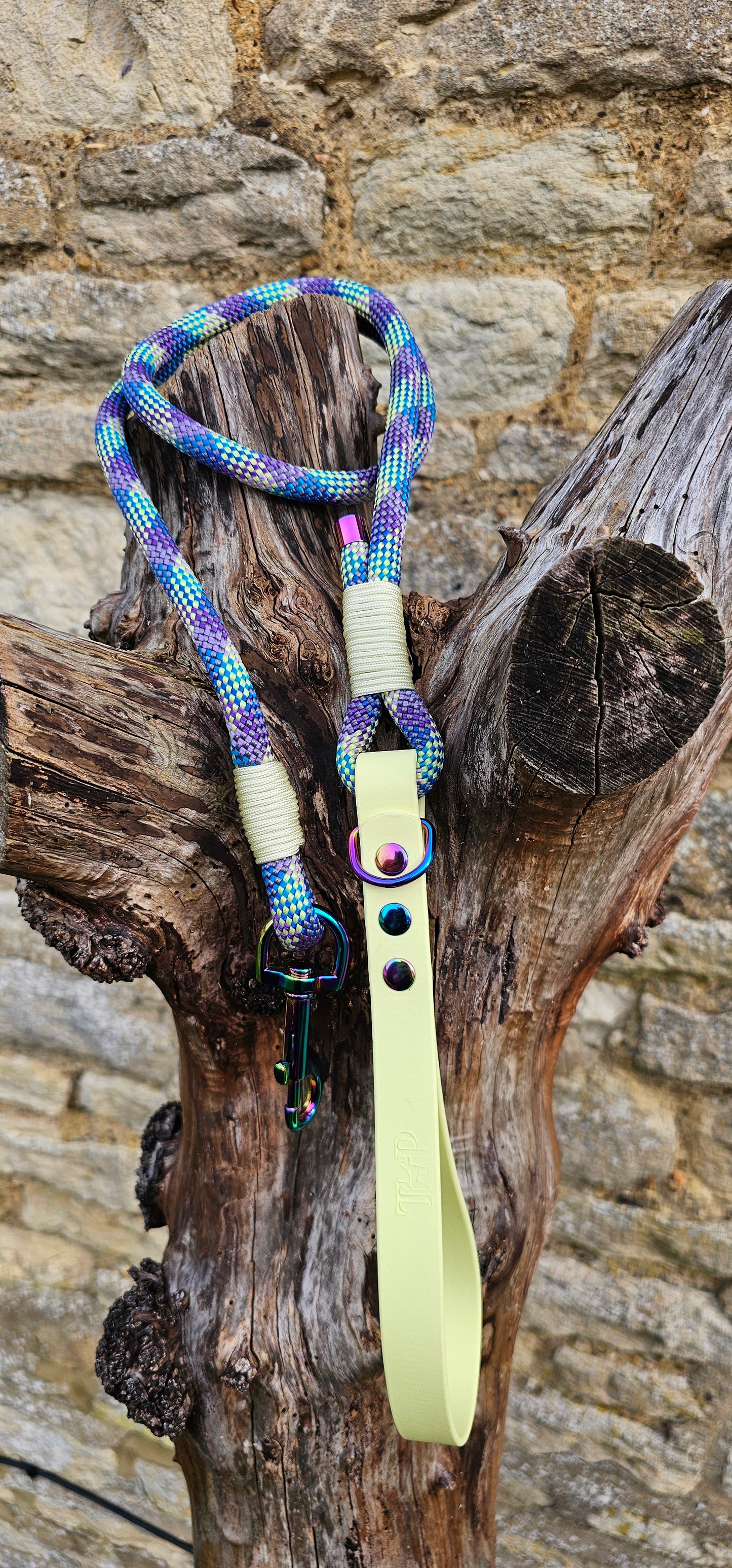 Aurora - Classic Rope Dog Lead