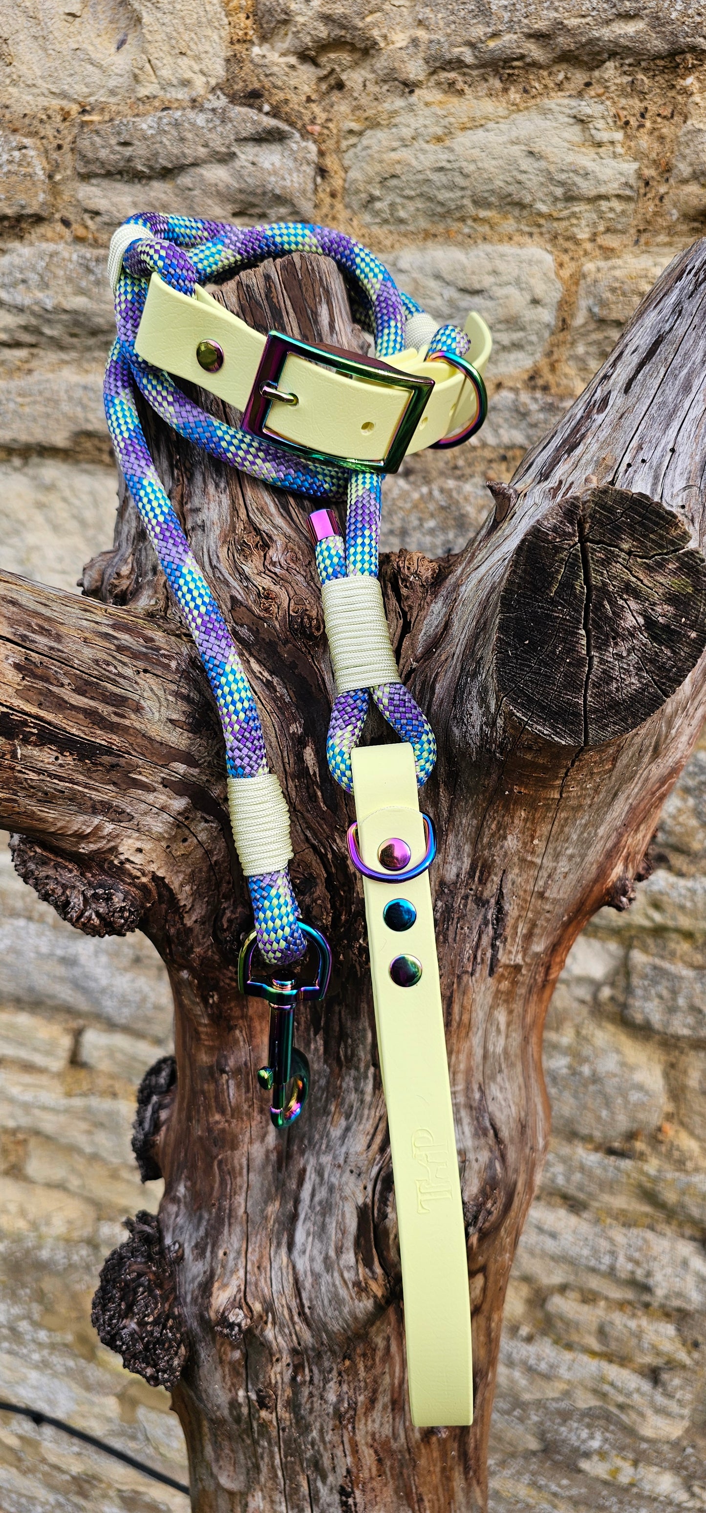 Aurora - Classic Rope Dog Lead