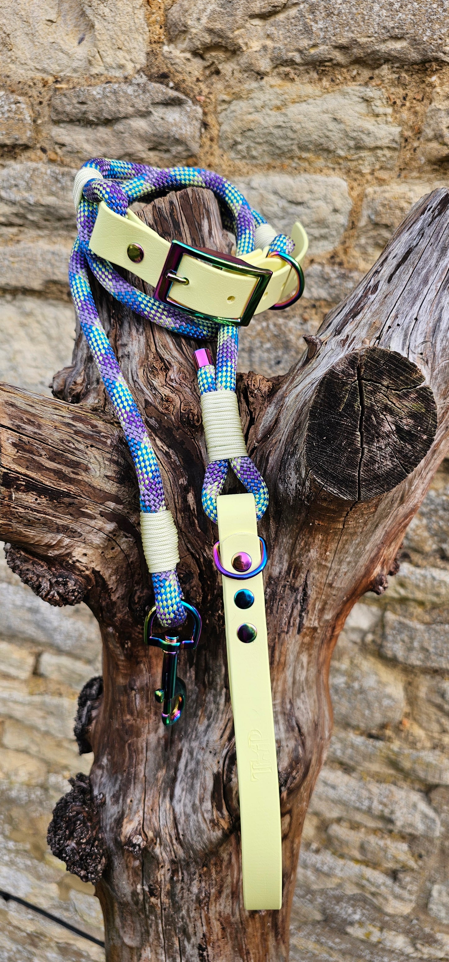 Aurora - Classic Rope Dog Collar