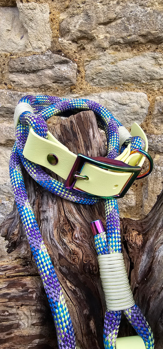 Aurora & Lemon - Classic Rope Dog Collar