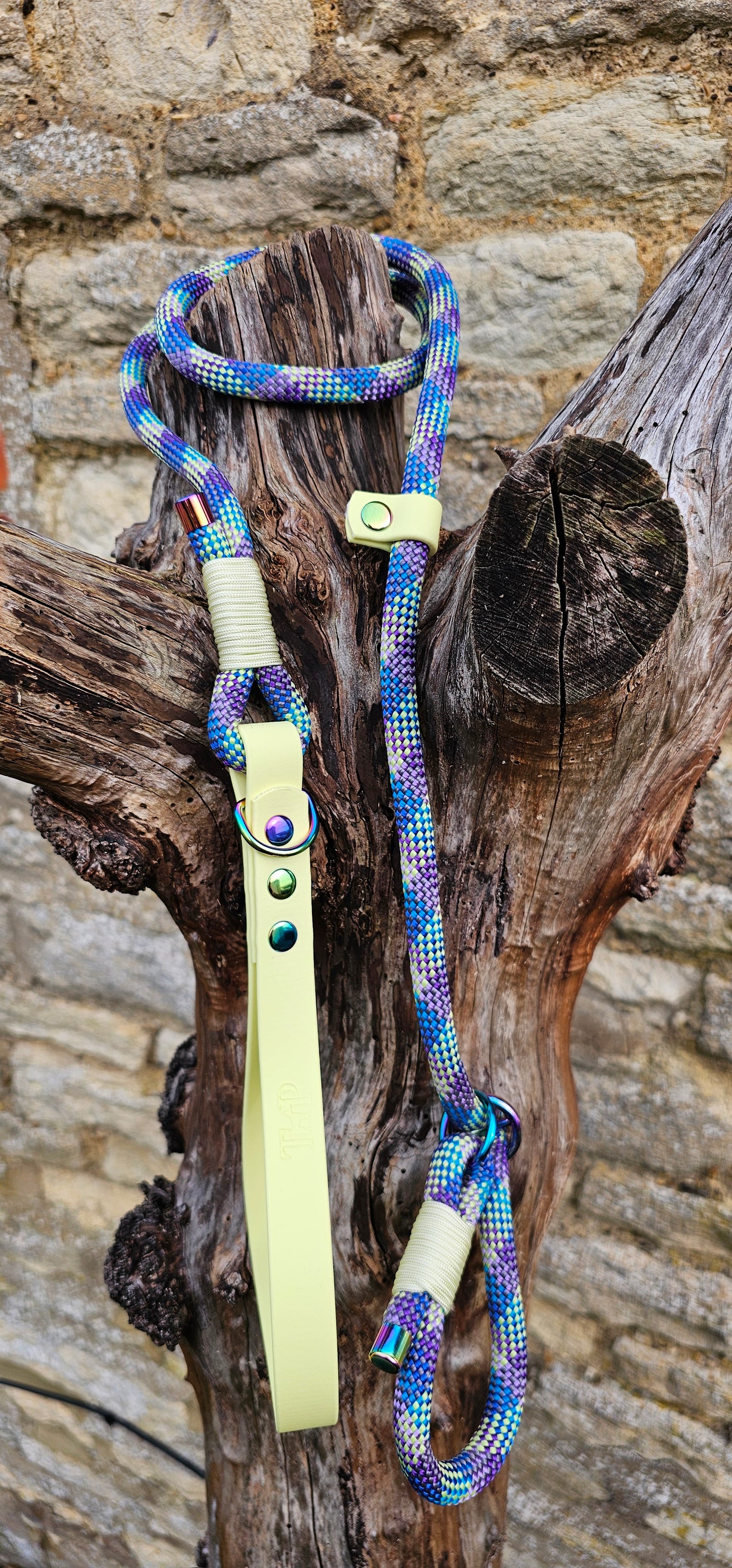 Aurora - Classic Rope Slip Lead / Figure 8 Dog Lead