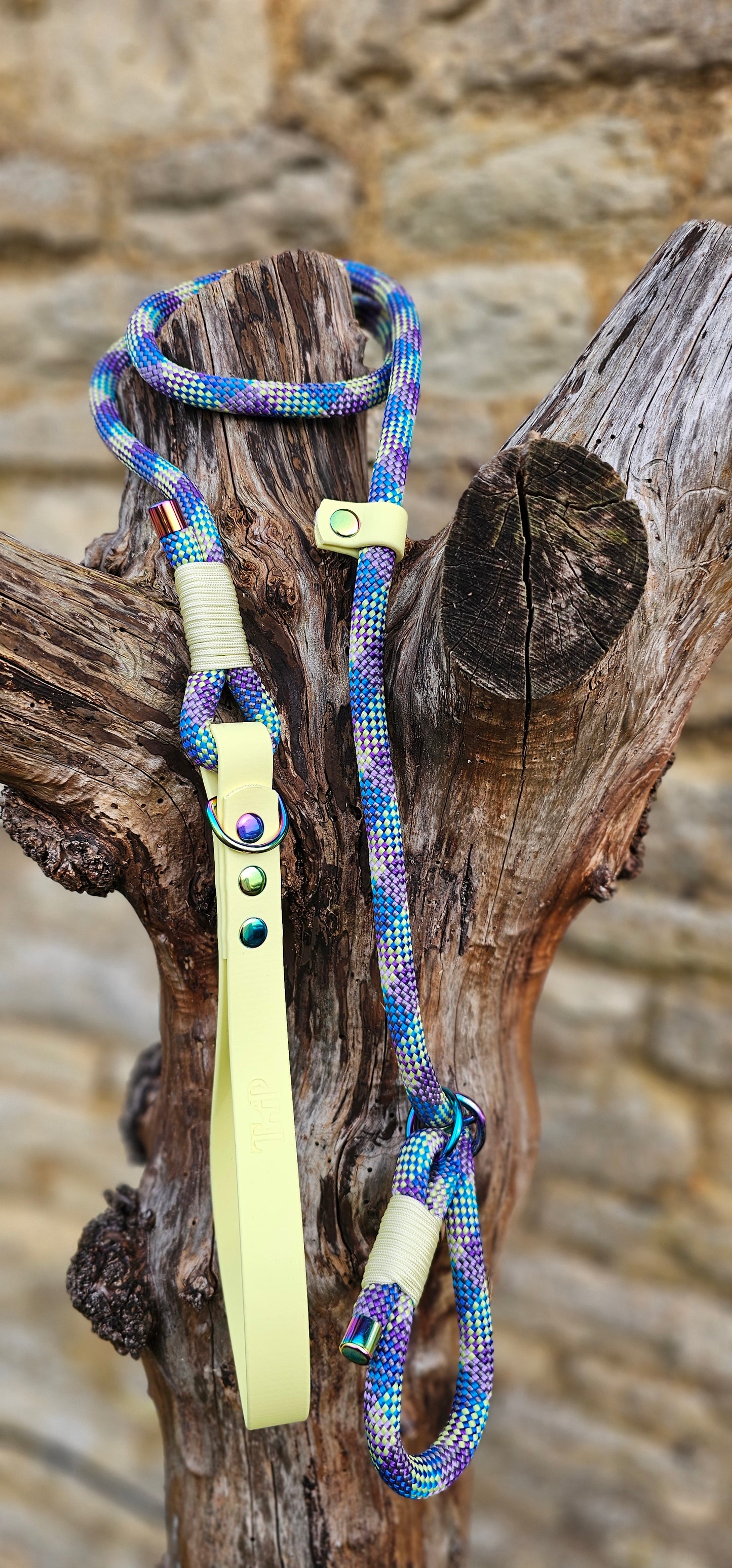 Aurora - Classic Rope Slip Lead / Figure 8 Dog Lead