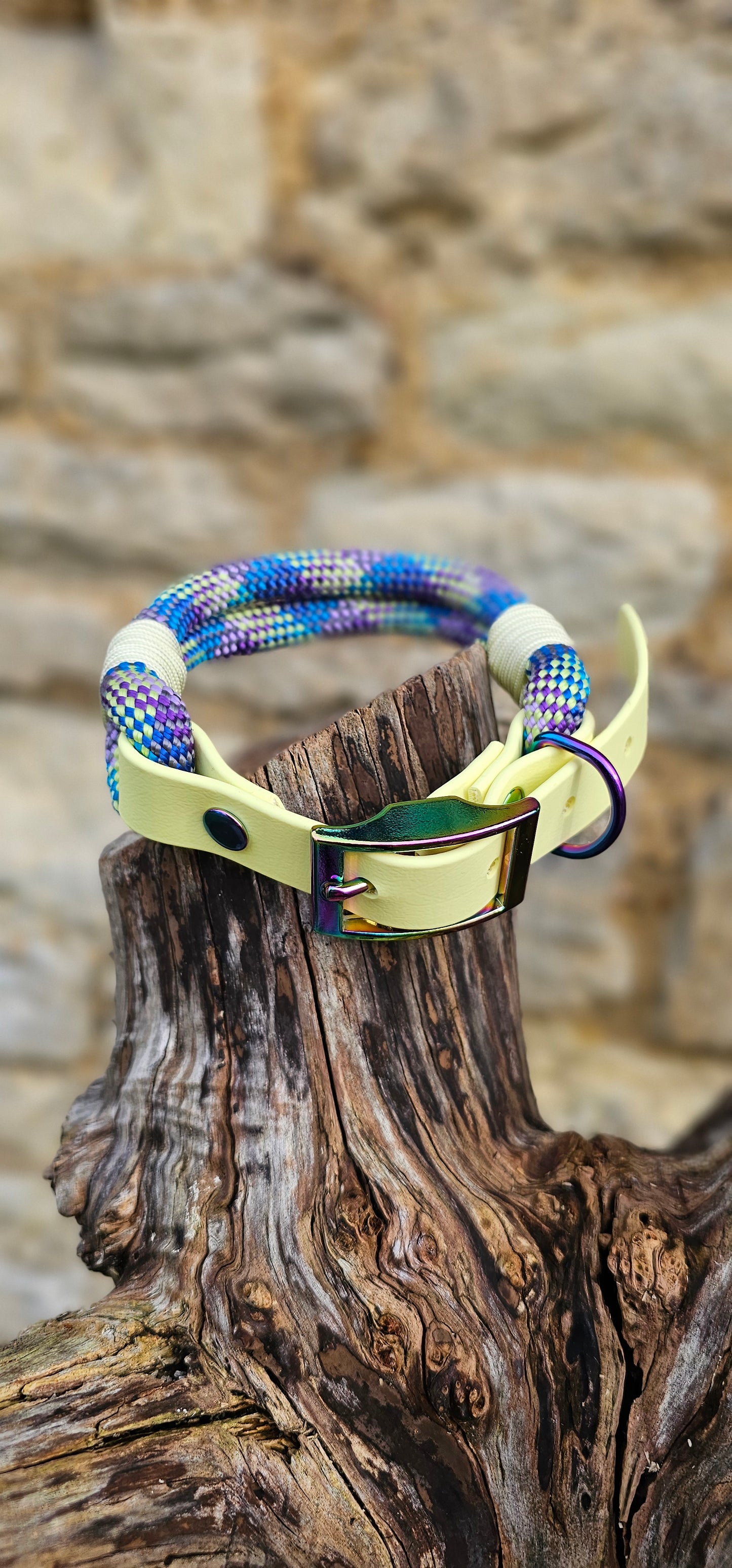Aurora - Classic Rope Dog Collar