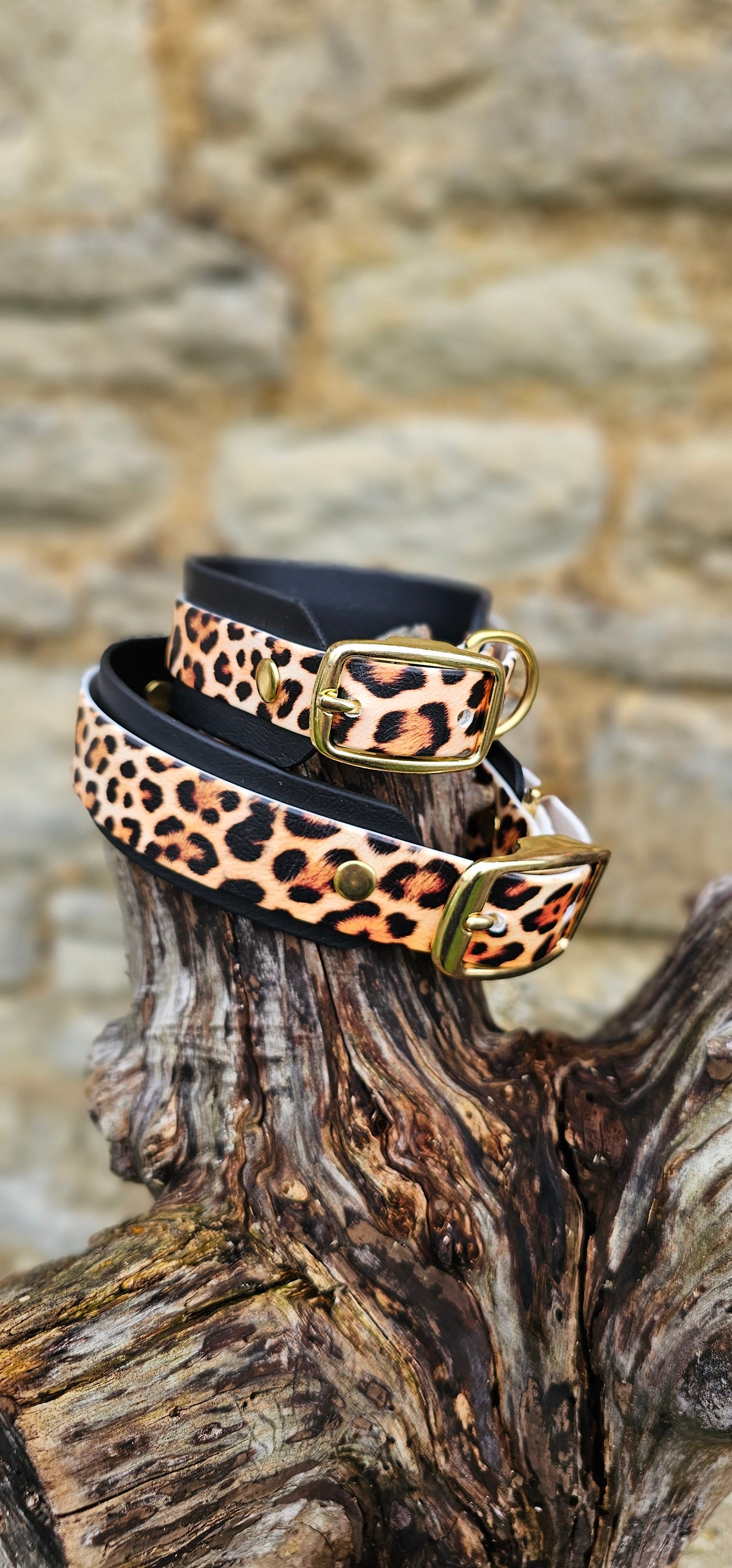 Urban Leopard - Statement Wrap Printed Waterproof BioThane© Dog Collar