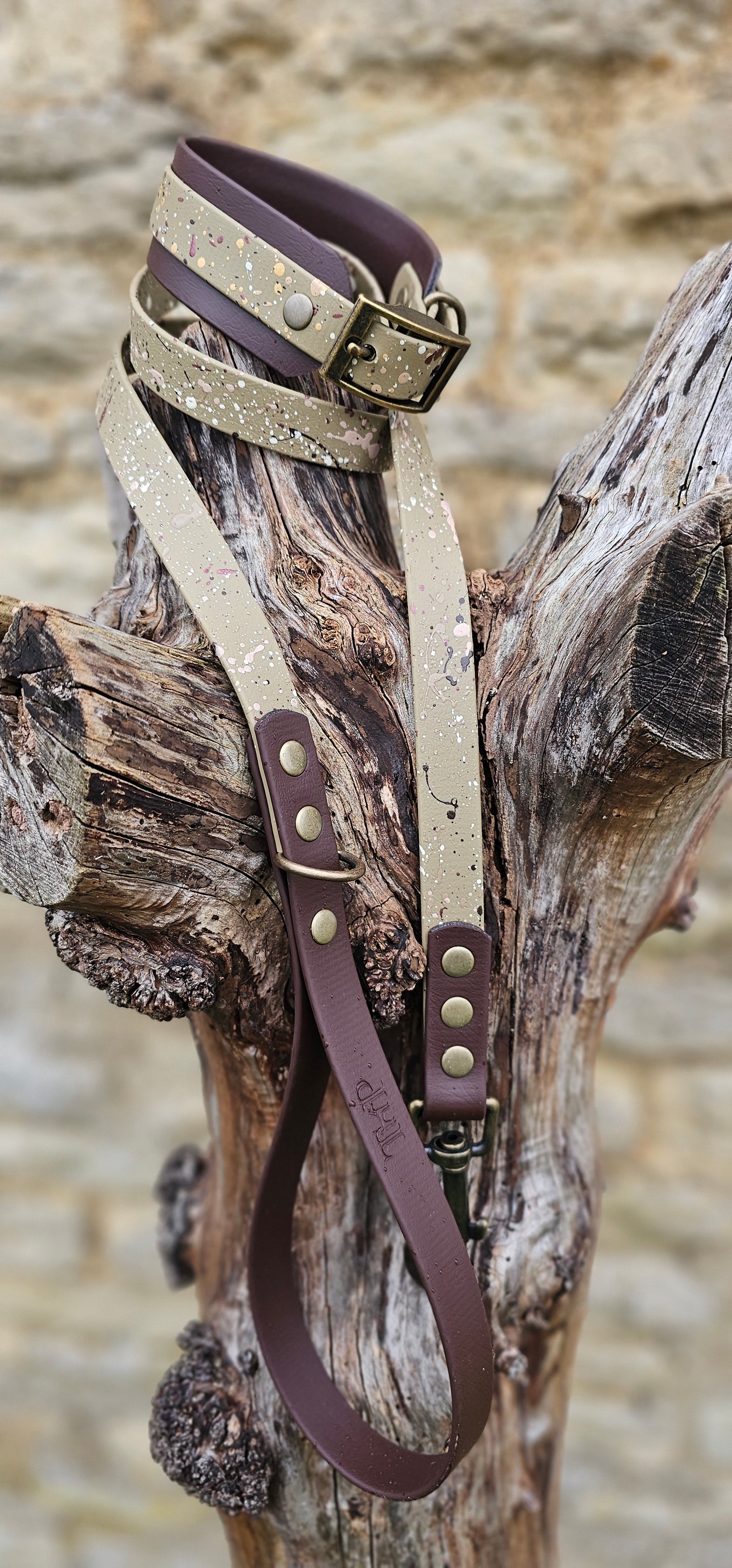 Canyon Trail - Statement Splatter Wrap Waterproof BioThane© Dog Collar