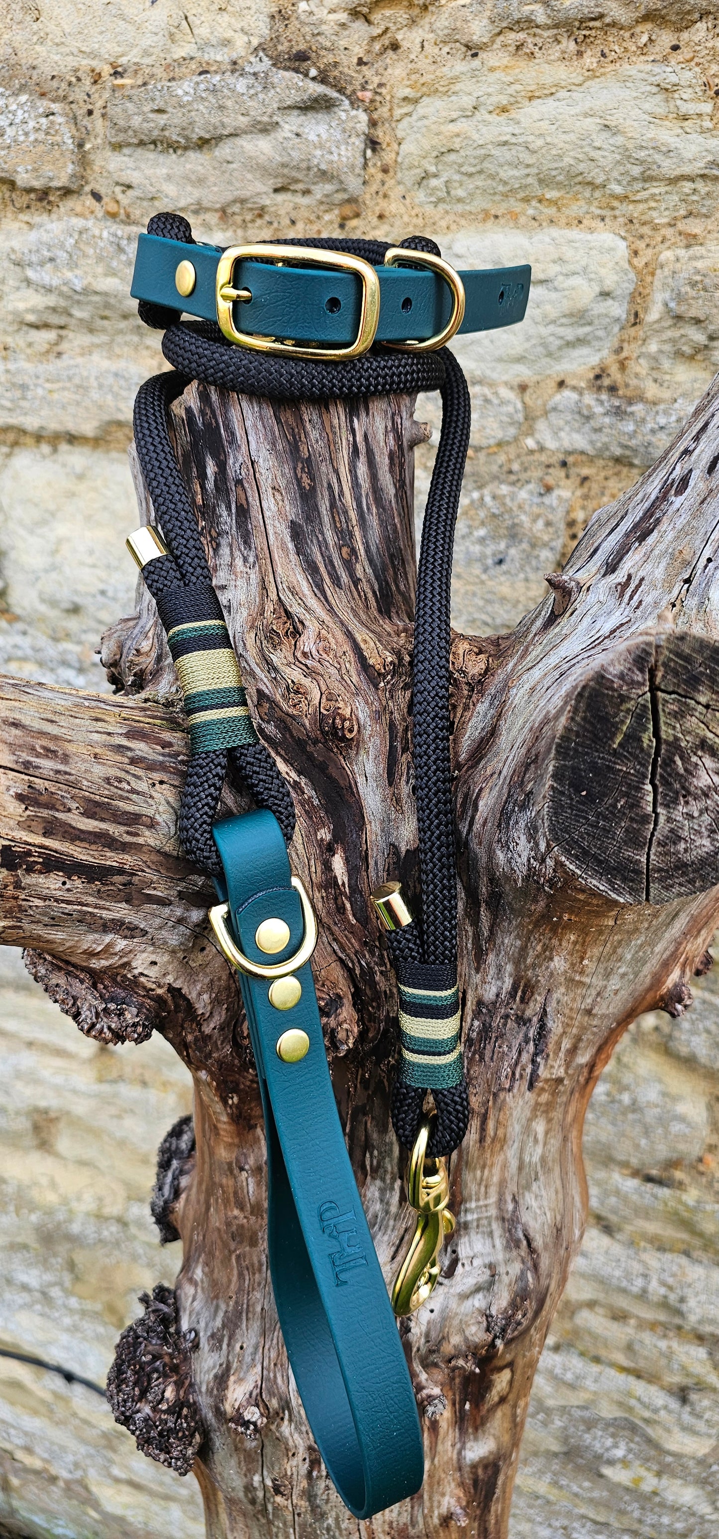 dog collar and rope lead