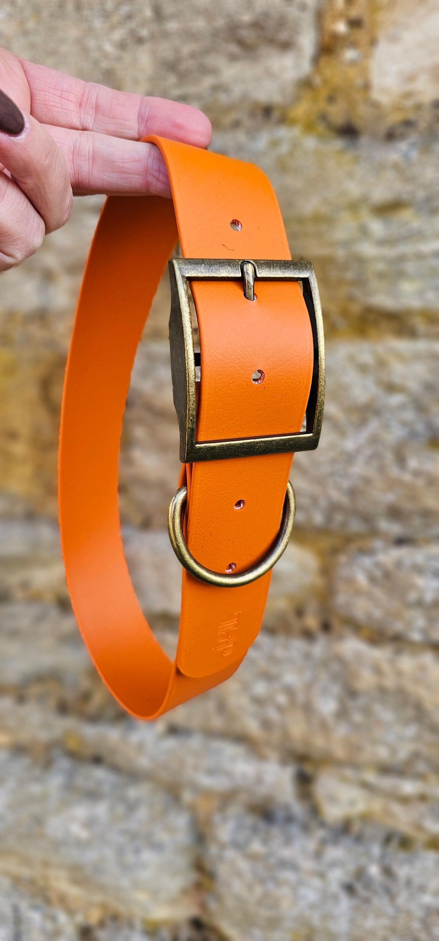 Burnt Orange - Mighty Paws Waterproof BioThane© Dog Collar