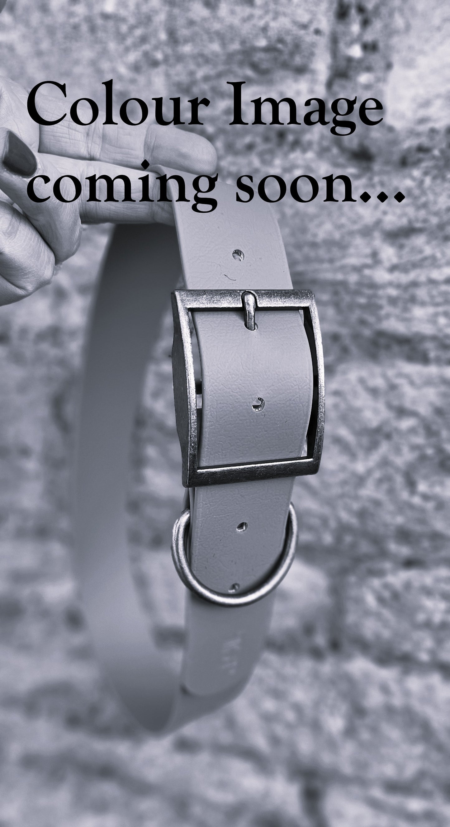 Aubergine - Mighty Paws Waterproof BioThane© Dog Collar