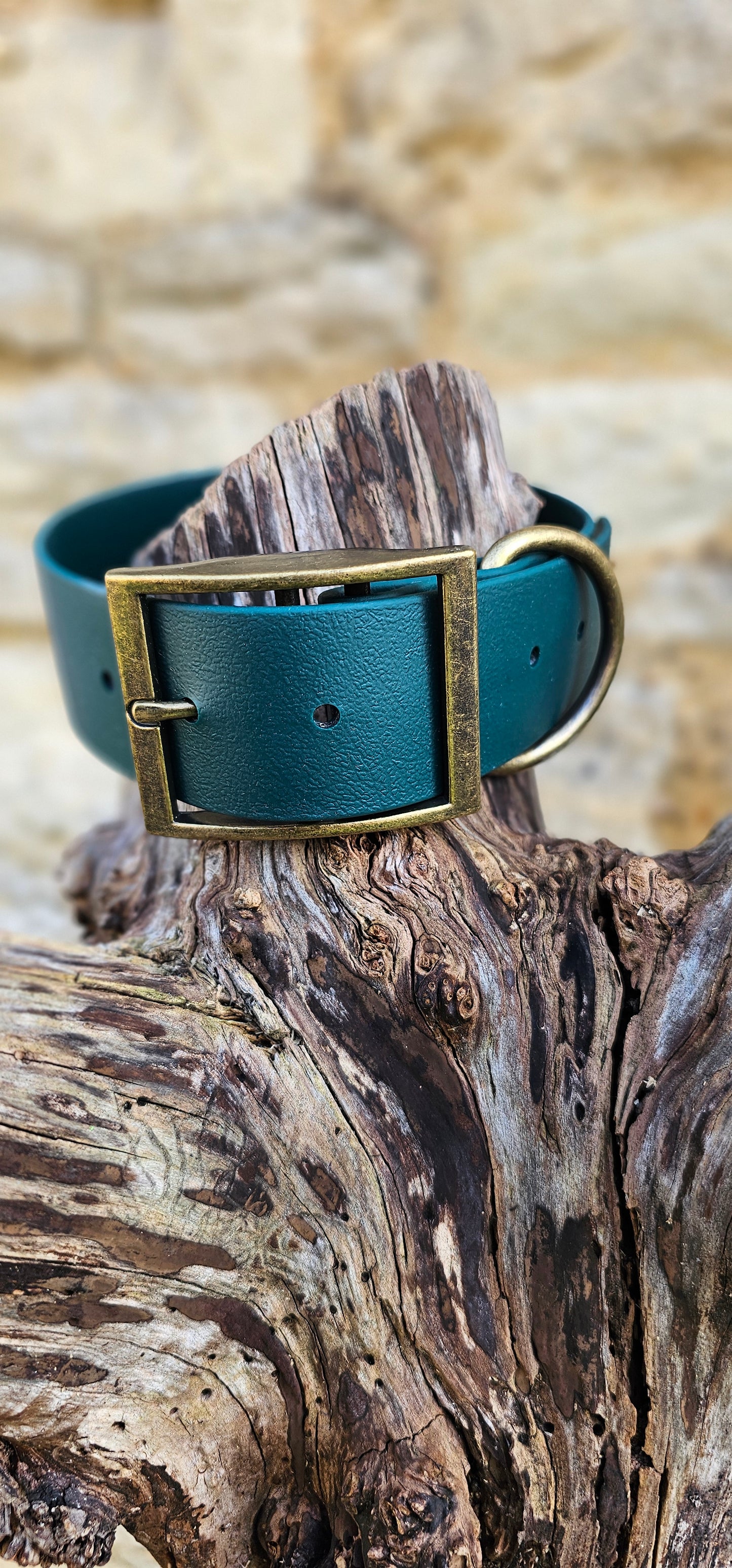 Mighty Paws Waterproof BioThane© Dog Collar - Design Your Own