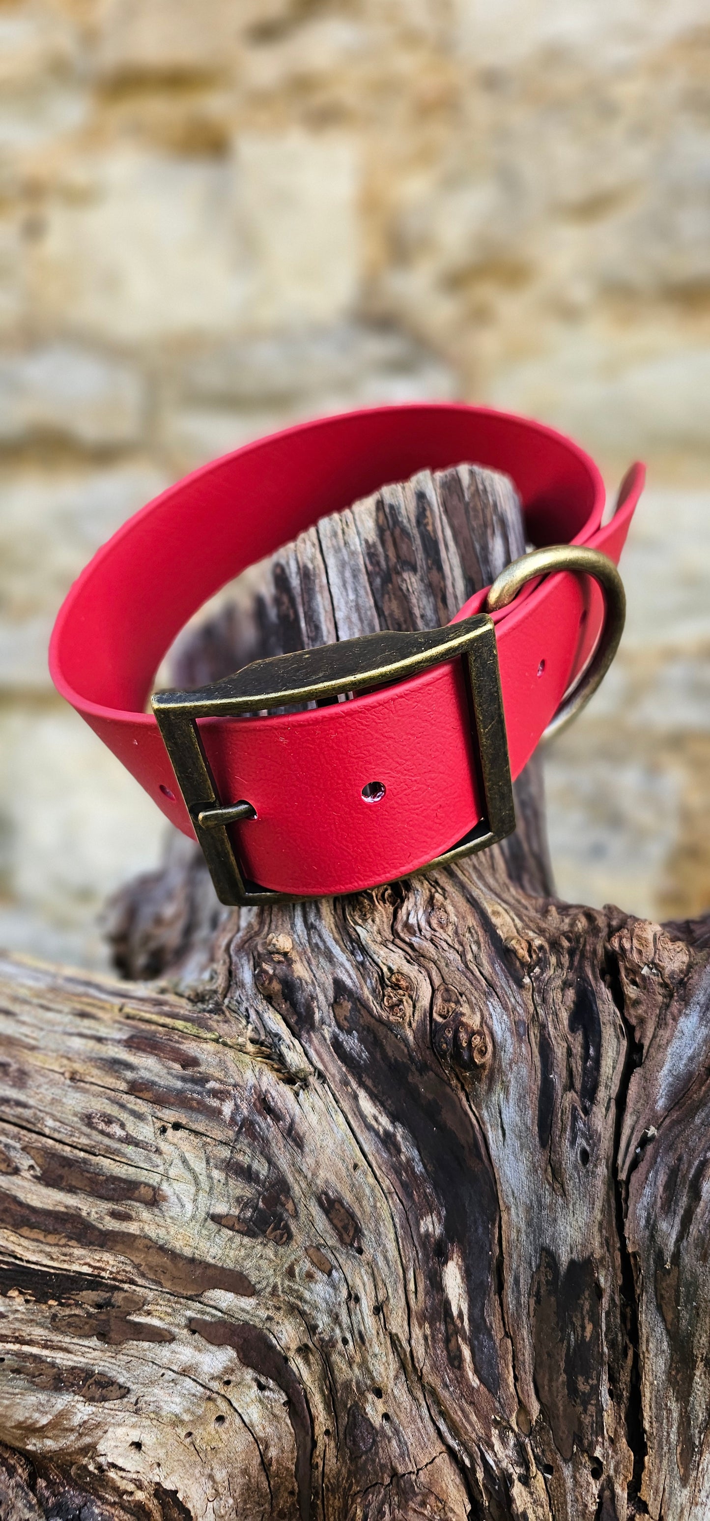 Mighty Paws Waterproof BioThane© Dog Collar - Design Your Own