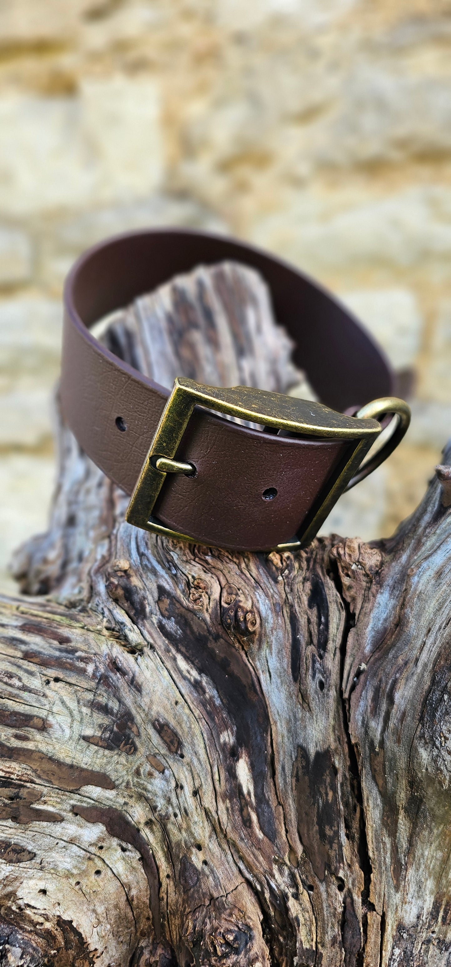Mighty Paws Waterproof BioThane© Dog Collar - Design Your Own