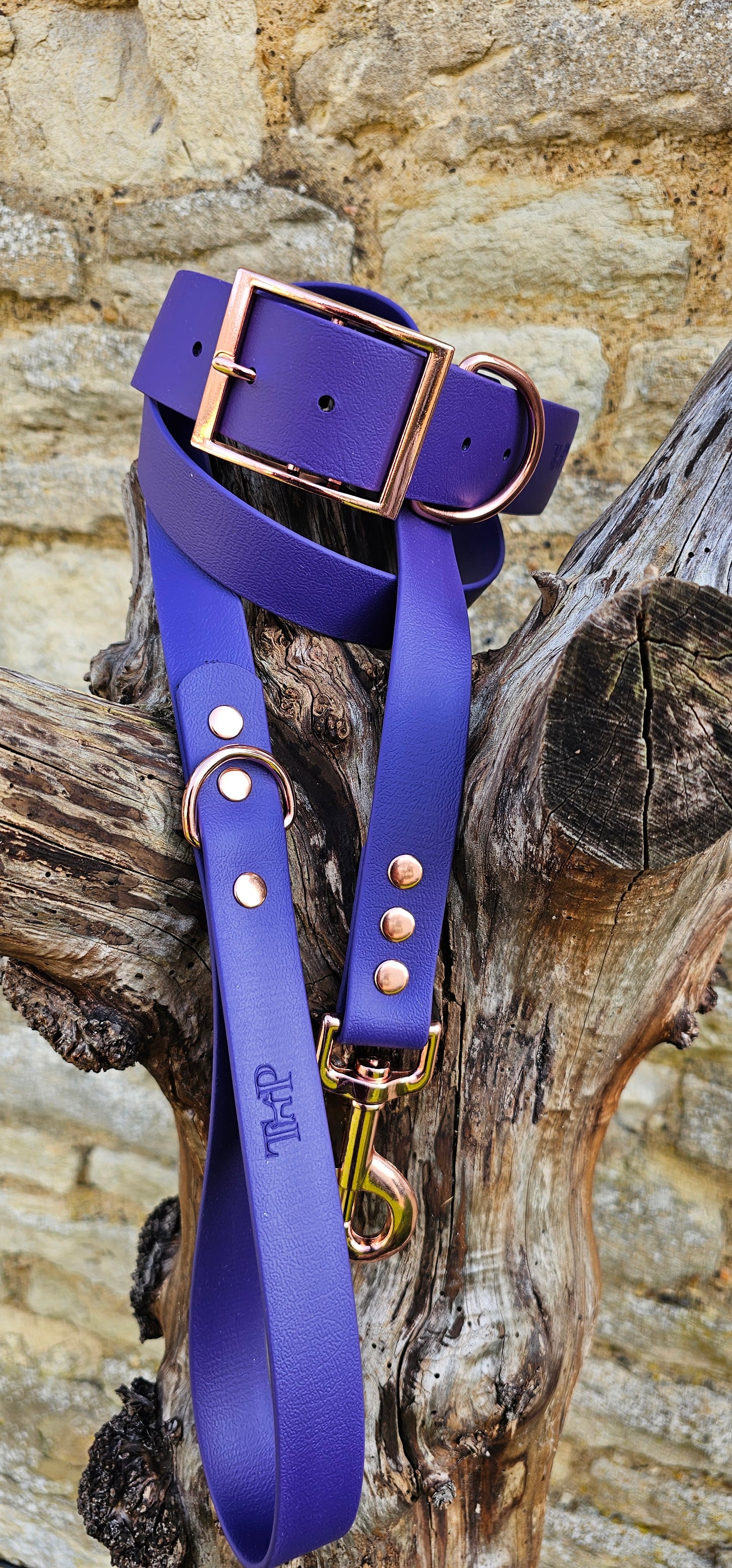 Amethyst - Mighty Paws Waterproof BioThane© Dog Collar