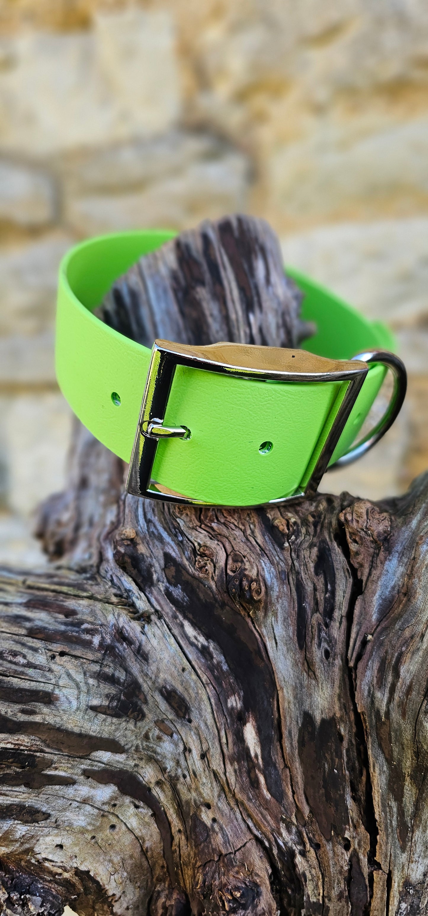 Mighty Paws Waterproof BioThane© Dog Collar - Design Your Own