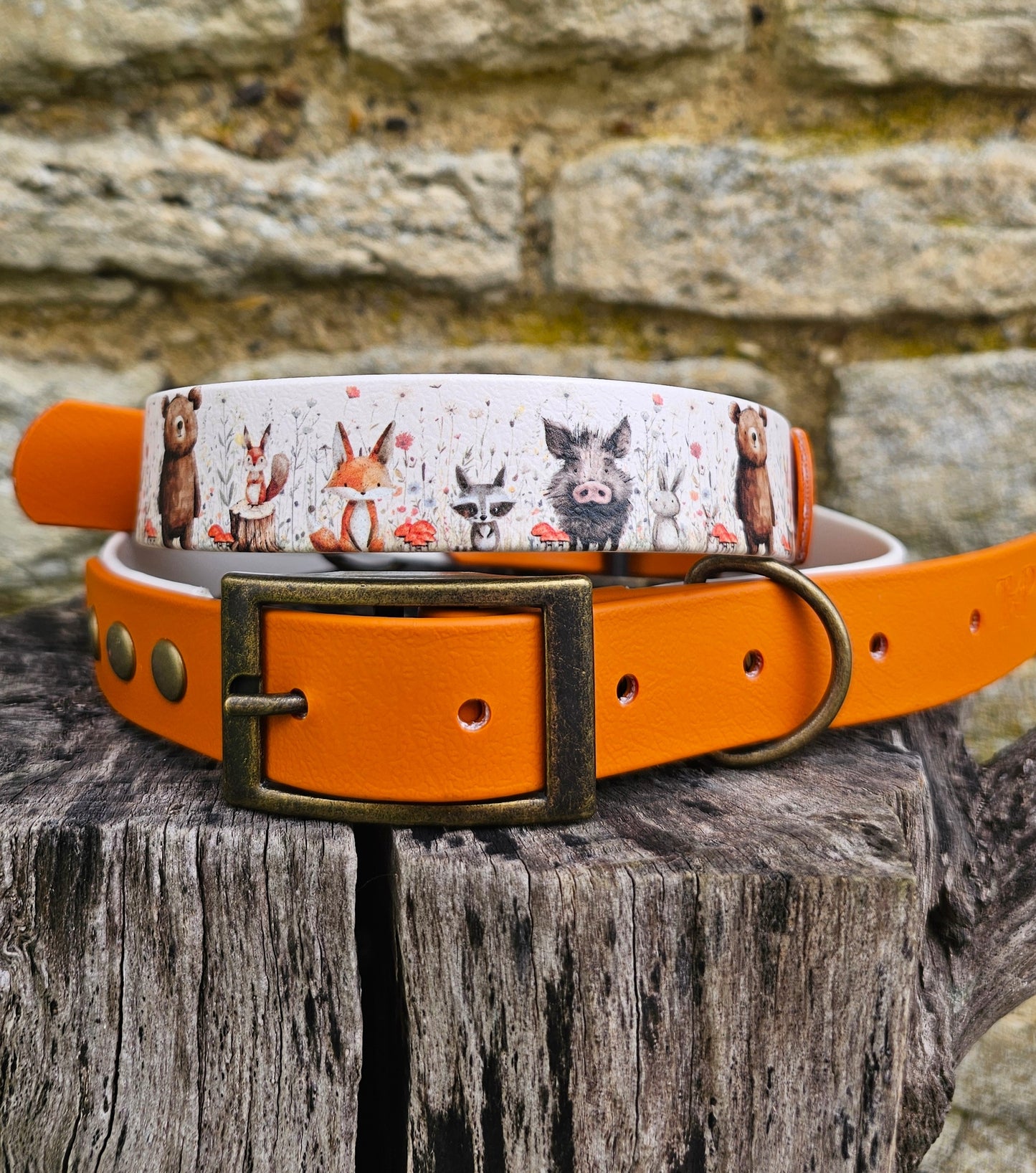 Hello Woodland - Printed Waterproof BioThane© Dog Collar