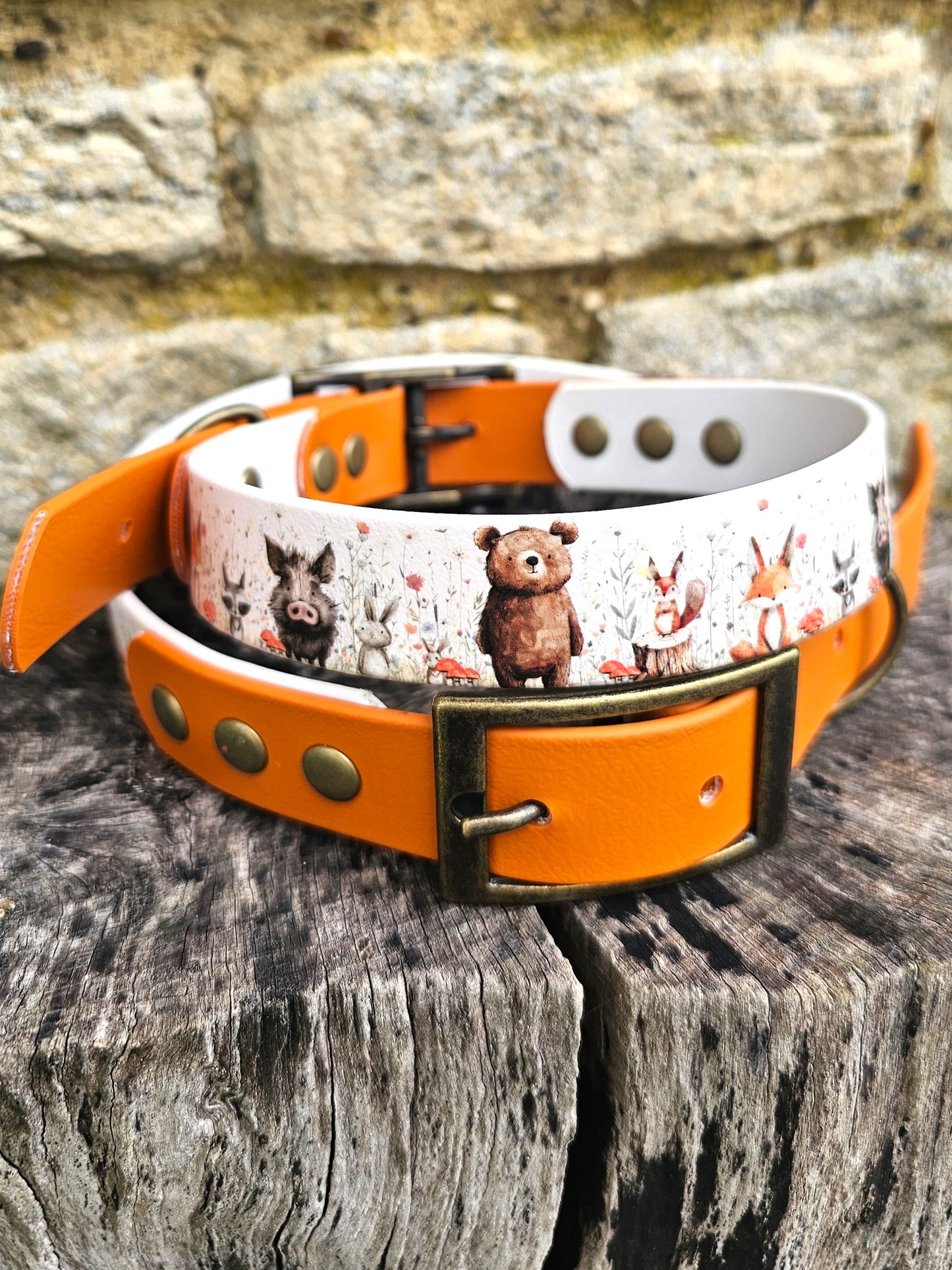Hello Woodland - Printed Waterproof BioThane© Dog Collar