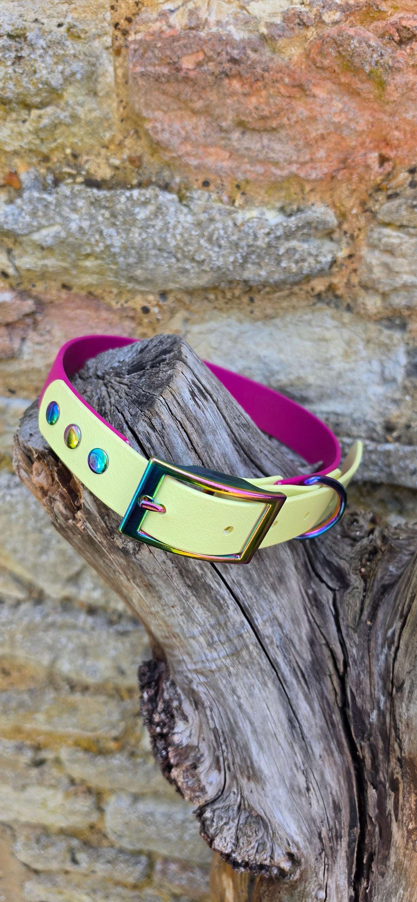 Magenta & Lemon - Waterproof BioThane© two-coloured Dog Collar