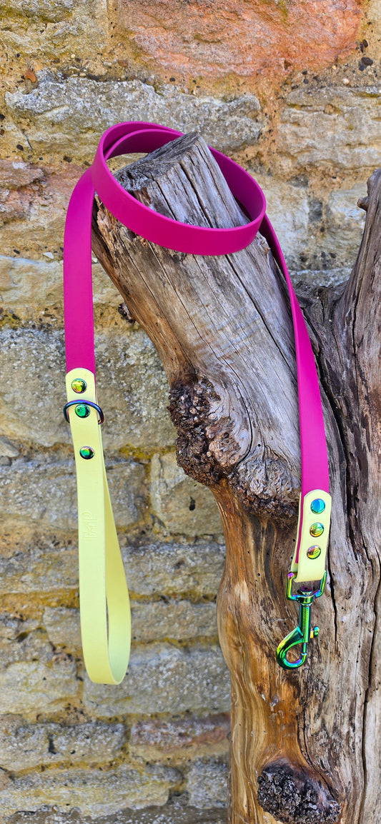 Magenta & Lemon - Waterproof BioThane© Dog Lead