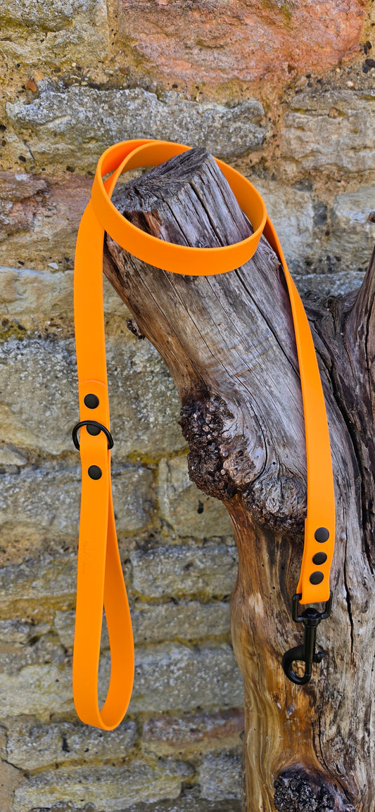 Orange - Waterproof BioThane© Dog Lead
