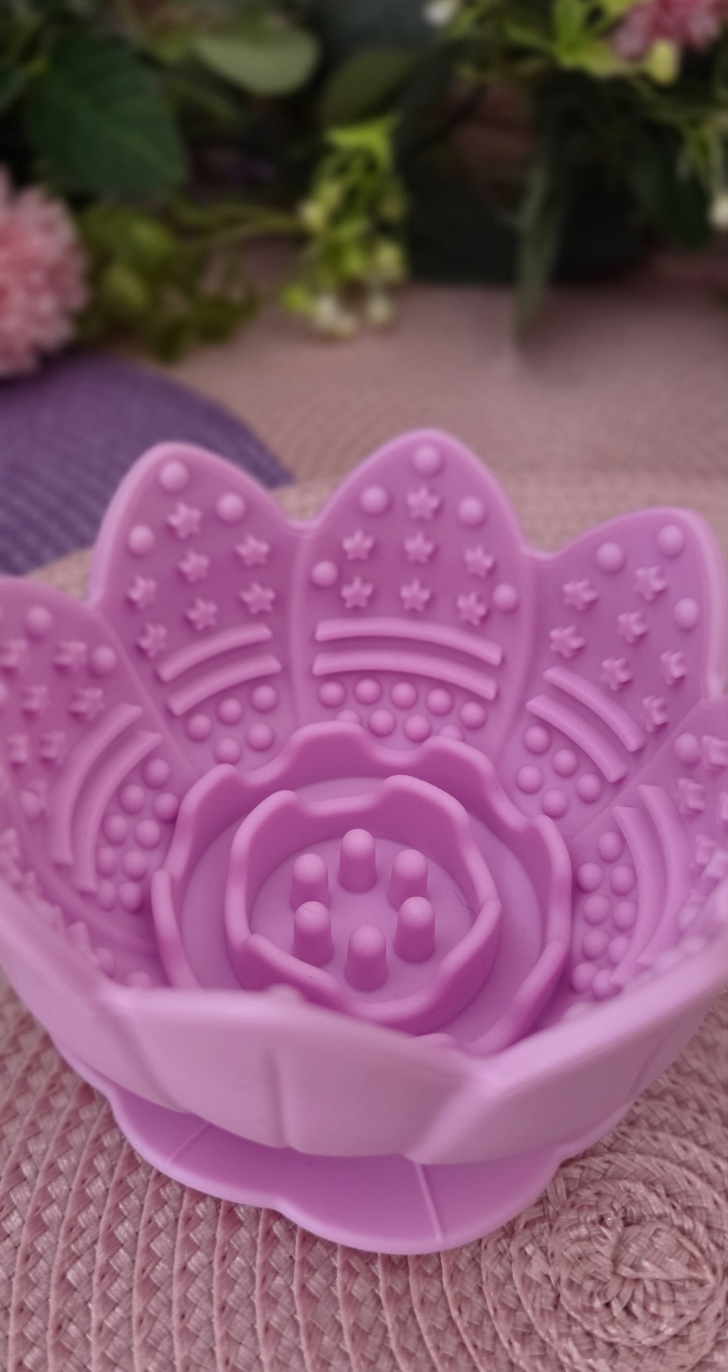 Enrichment Pot - Lotus Flower Blush Petal