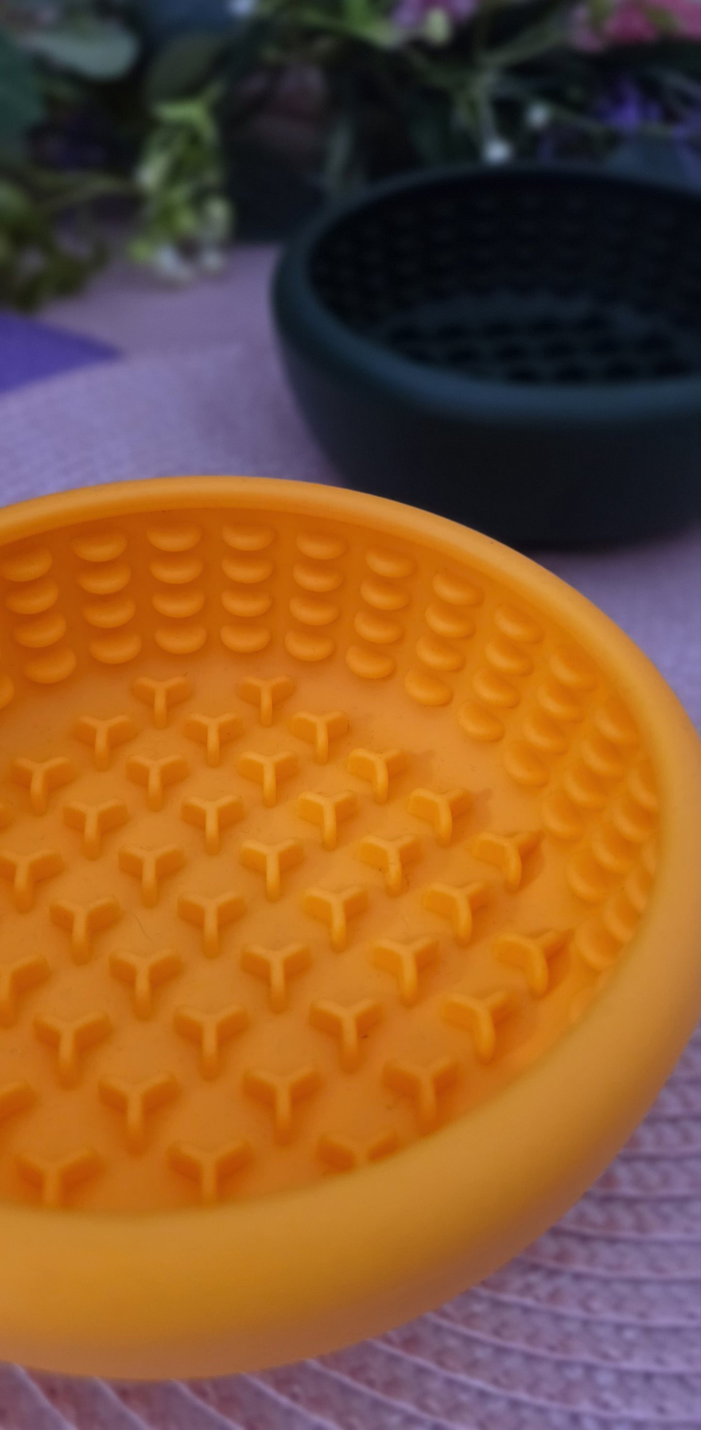 Enrichment Bowl Feeder - Orange