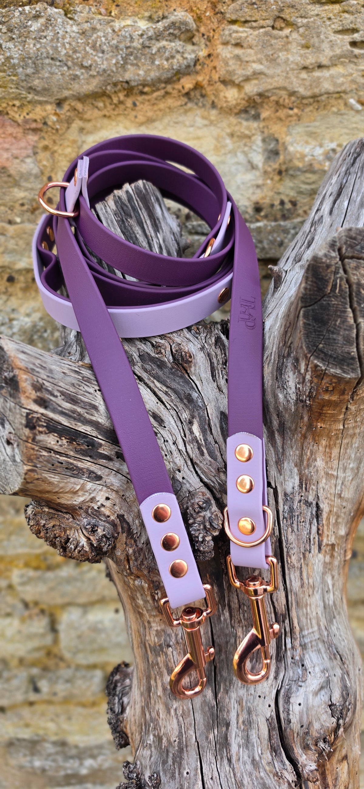 Aubergine & Lilac - Waterproof BioThane© handsfree Dog Training Lead