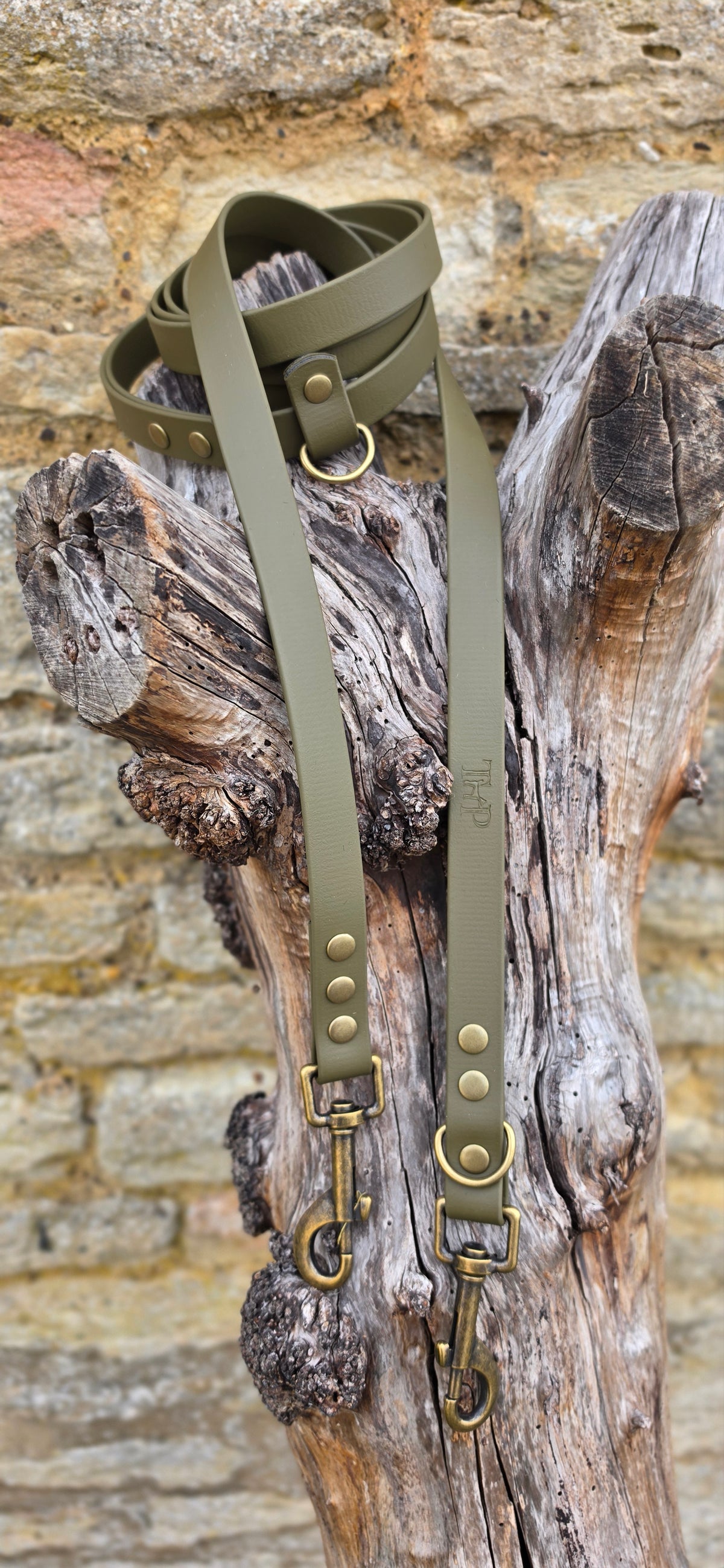 Olive - Waterproof BioThane© handsfree Dog Training Lead