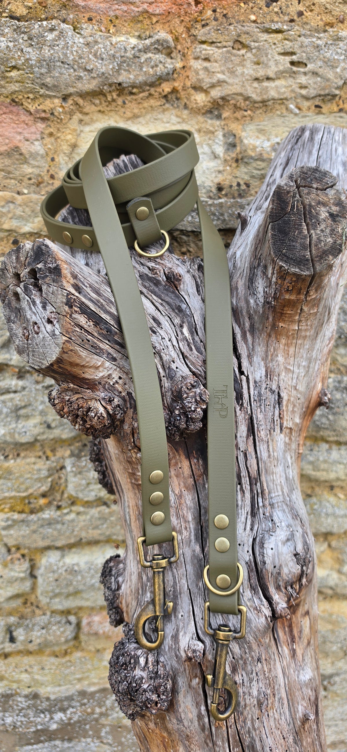 Olive - Waterproof BioThane© handsfree Dog Training Lead