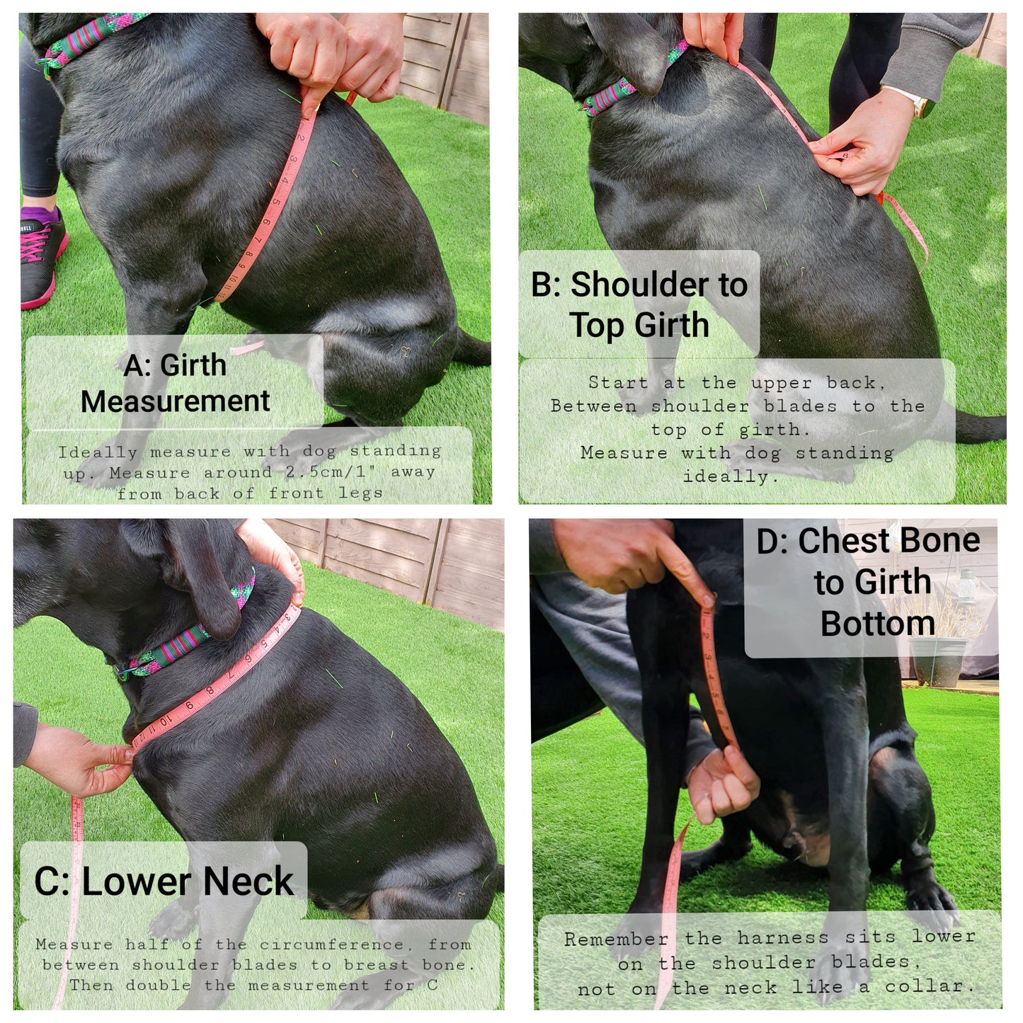 Waterproof BioThane® Perfect-Fit Dog Harness - Design Your Own