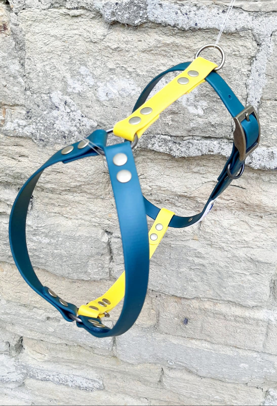 Waterproof BioThane® Perfect-Fit Dog Harness - Design Your Own