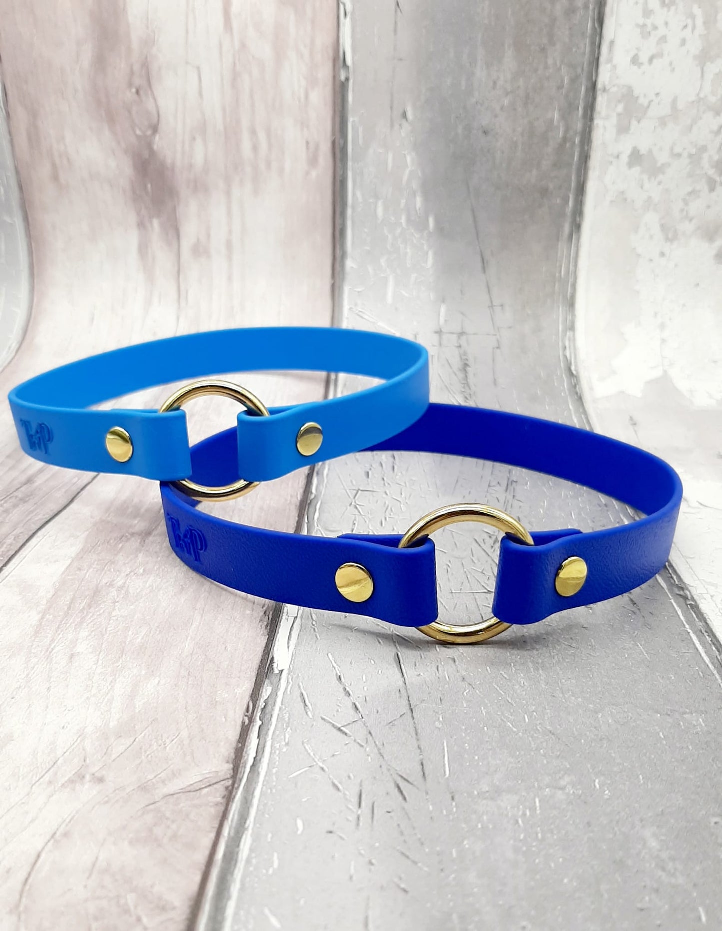 Waterproof BioThane© Dog Tag Collar - Design Your Own