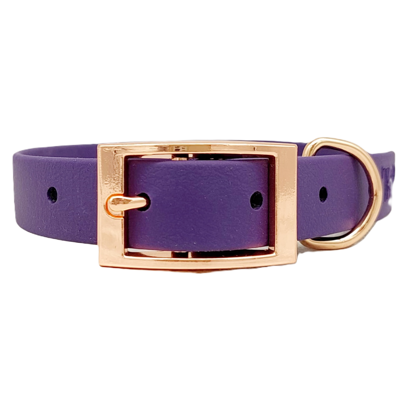 Purple - Waterproof BioThane© Dog Collar