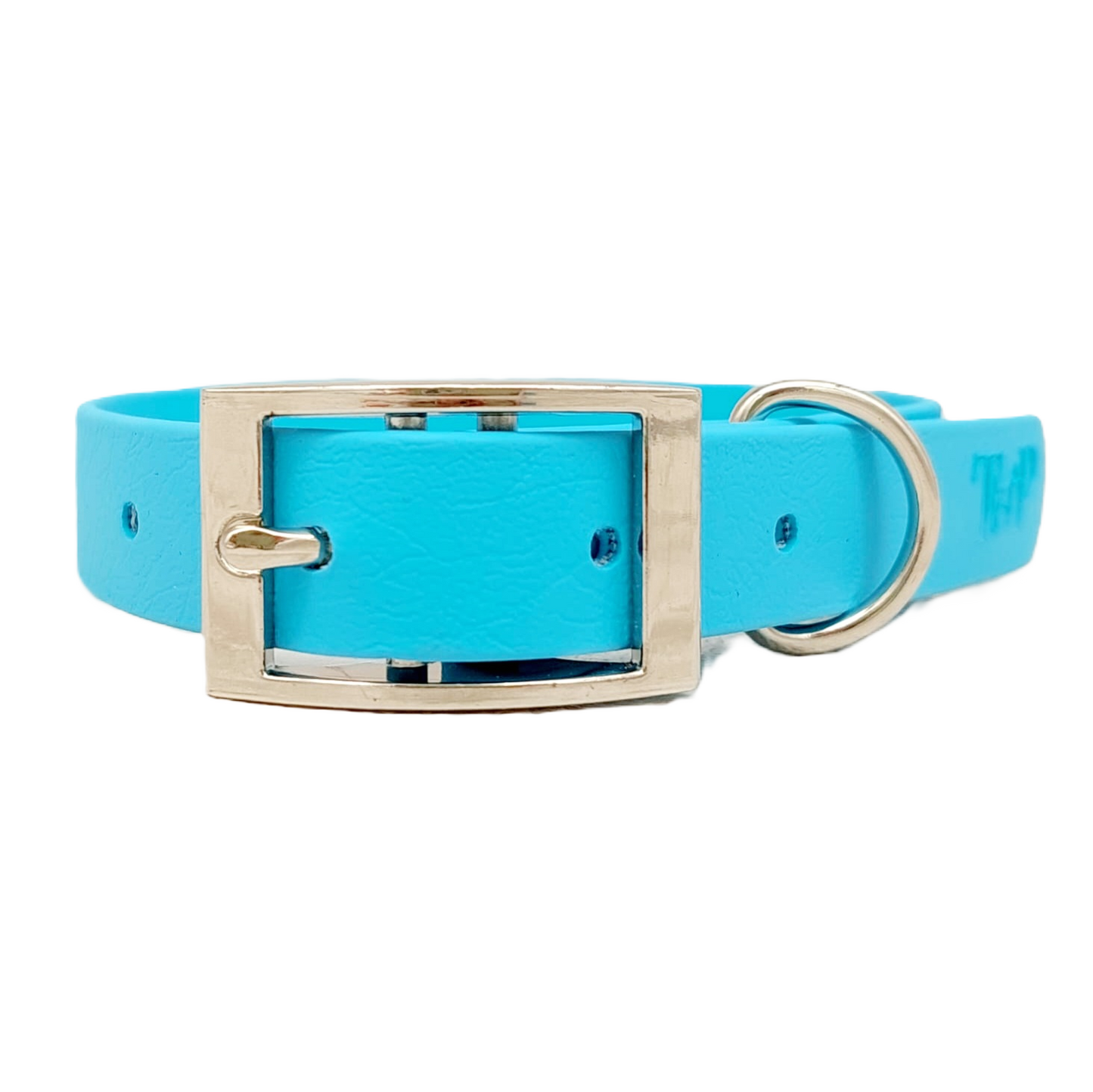 Neon Blue - Waterproof BioThane© Dog Collar