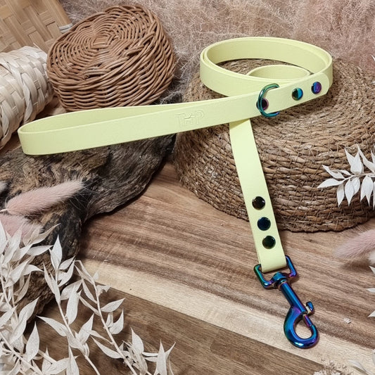 Lemon RB - (120cm length / Regular) Biothane Dog Lead