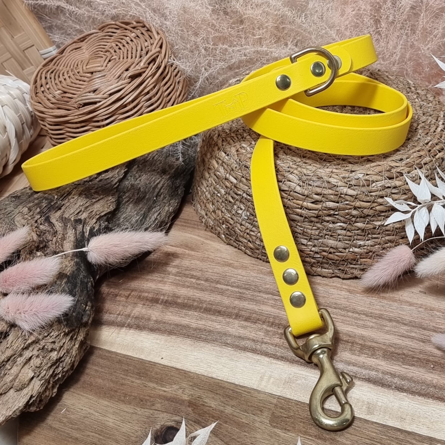 Yellow GB - (120cm length / Regular) Biothane Dog Lead