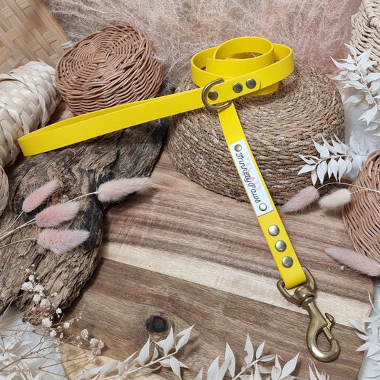 Yellow GB - (120cm length / Regular) Biothane Dog Lead