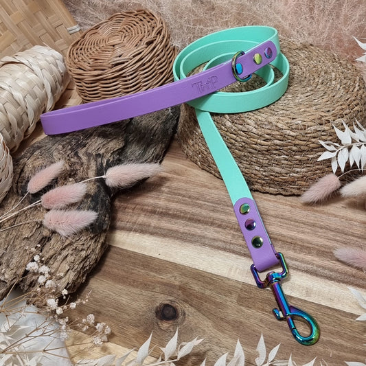 Mint & Amethyst RB - (120cm length / Regular) Biothane Dog Lead