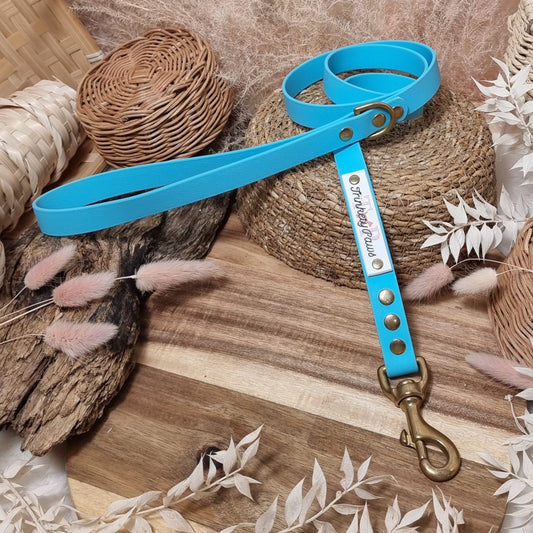 Neon Blue GB - (120cm length / Regular) Biothane Dog Lead