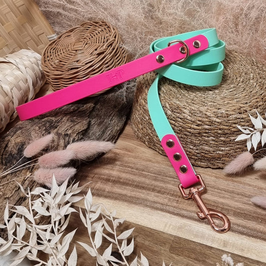 Mint & Neon Pink RG - (120cm length / Regular) Biothane Dog Lead